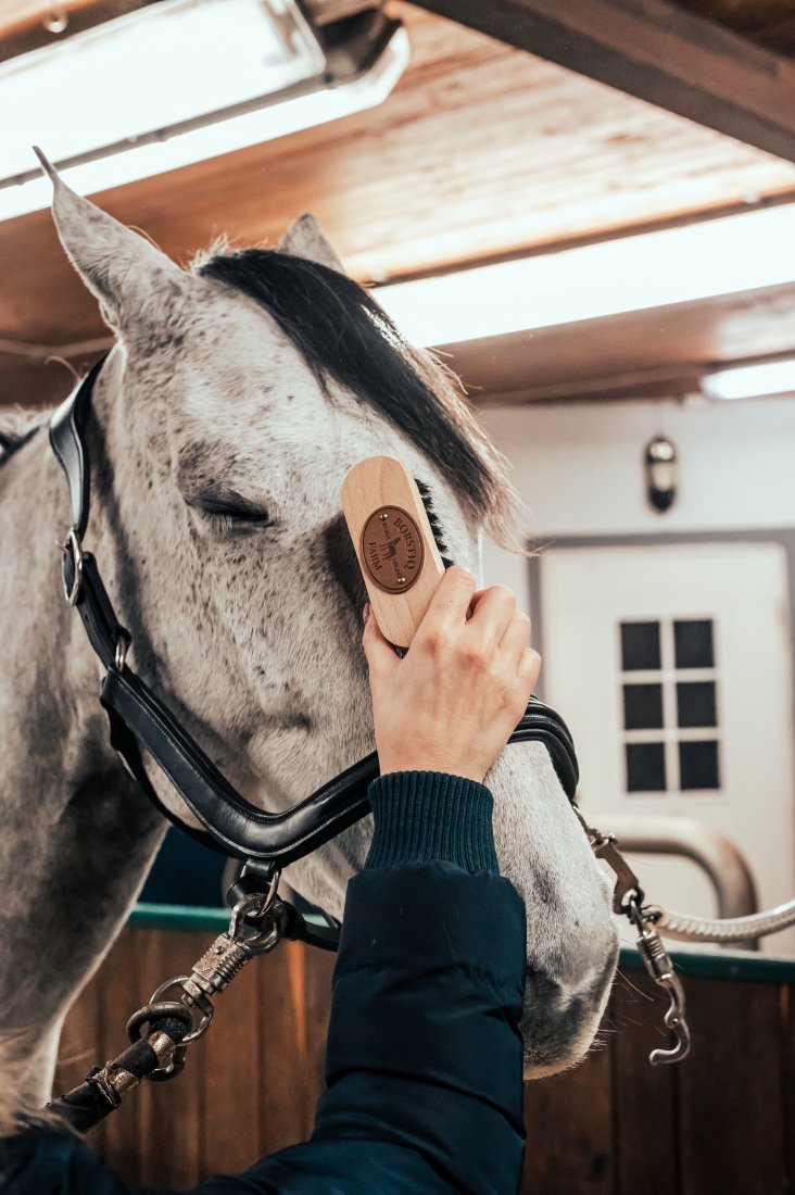 Borstiq Farms - hovedbørste