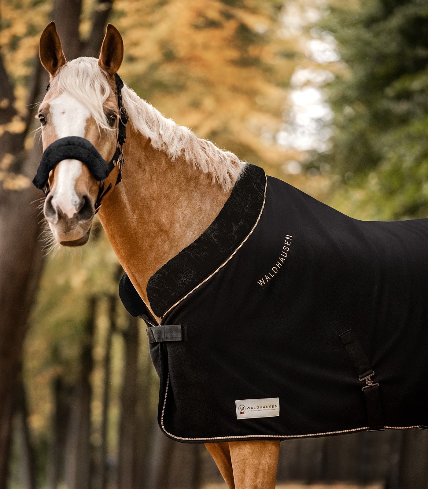 Waldhausen - Fleece rug modern rosé