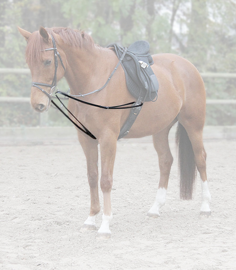 Waldhausen - Lunge-Draw-Reins X-Line Leather, black