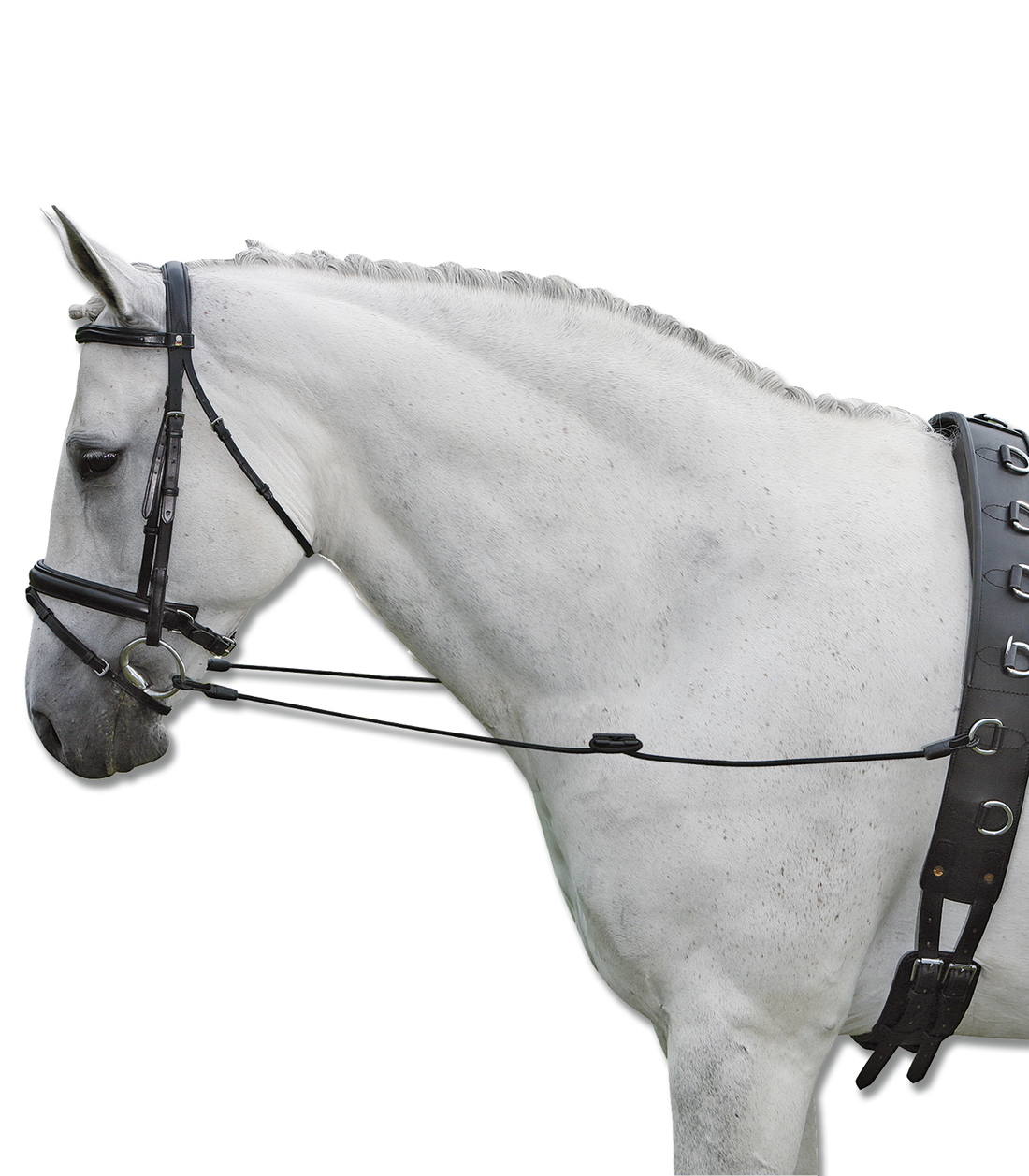 Waldhausen - Side Reins Fully Elastic, black