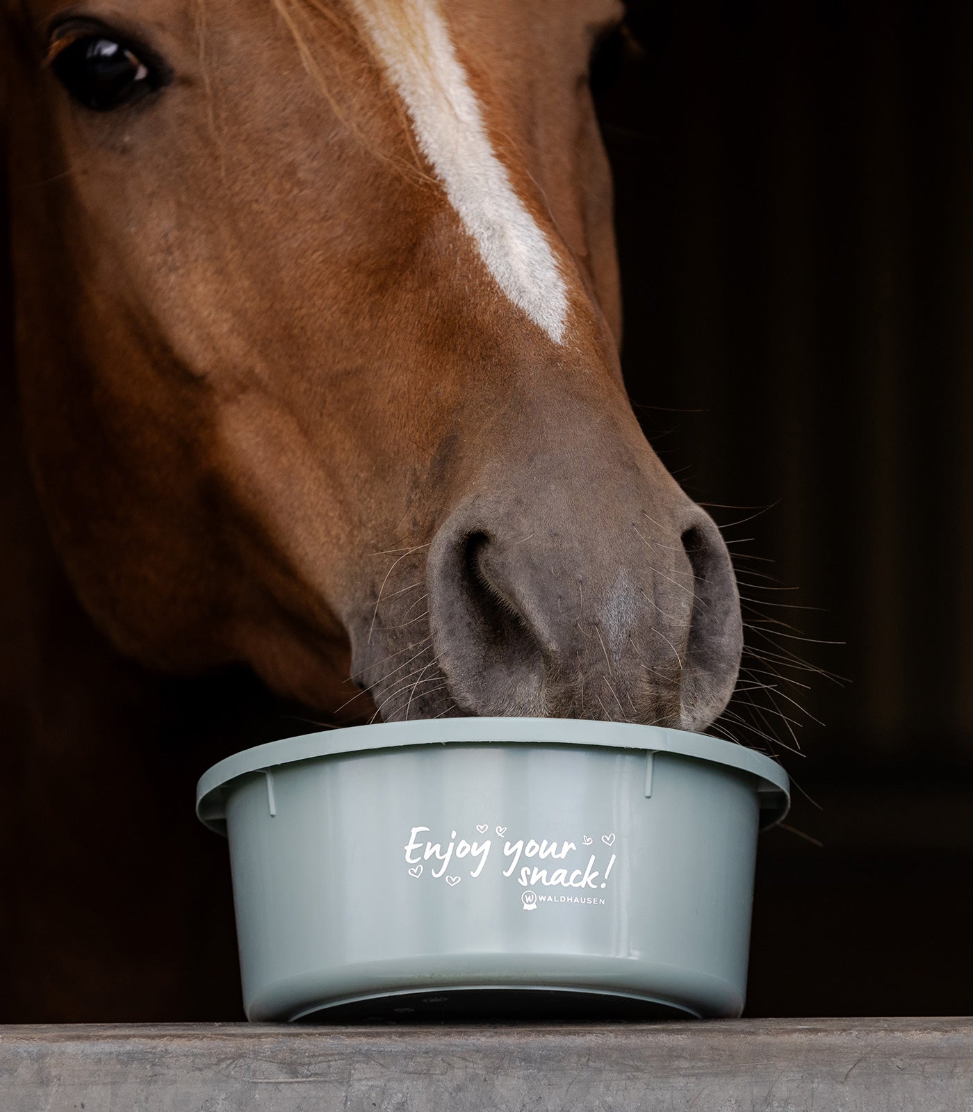 Waldhausen - Small Feeding Bowl "Enjoy your snack"