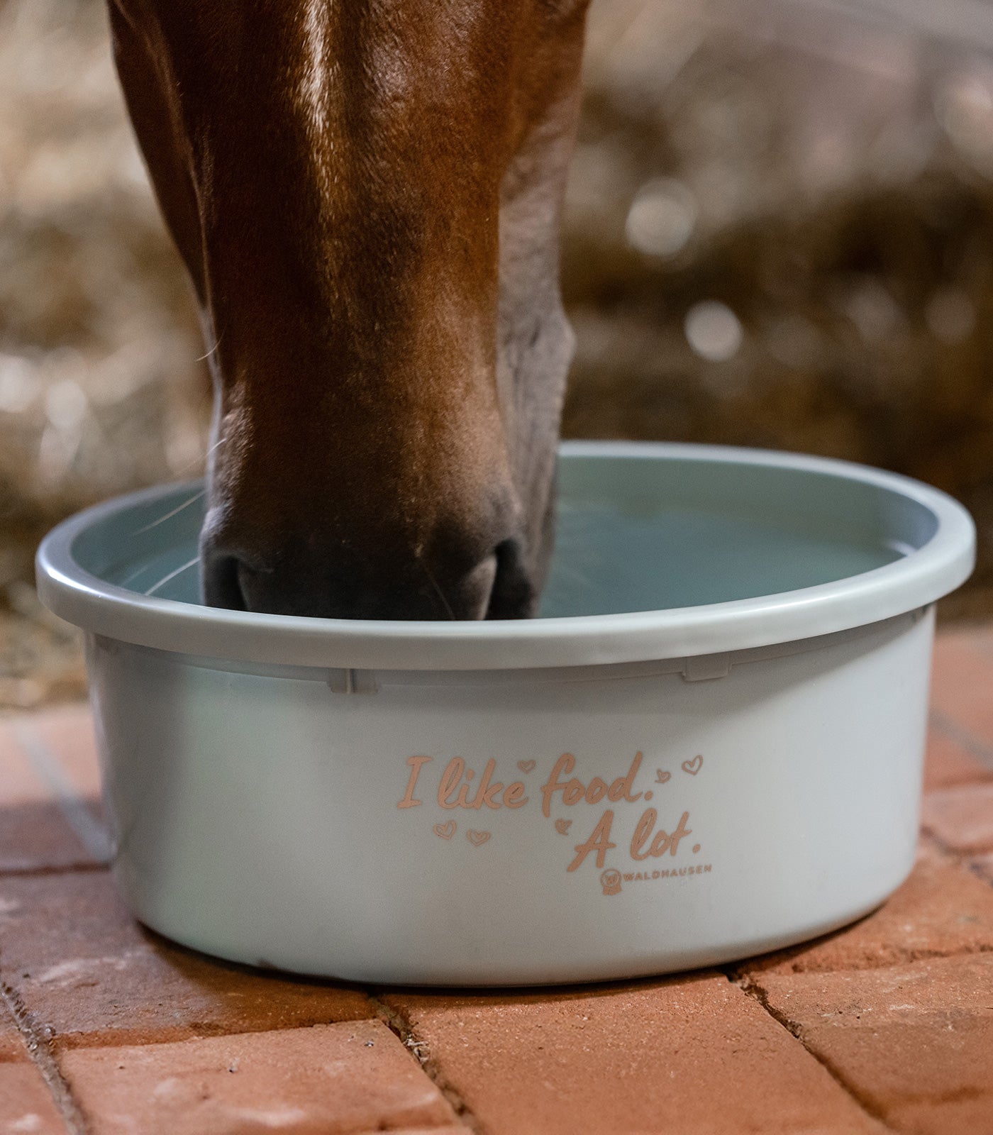 Waldhausen - XL Feeding Bowl "I like food. A lot." with lid