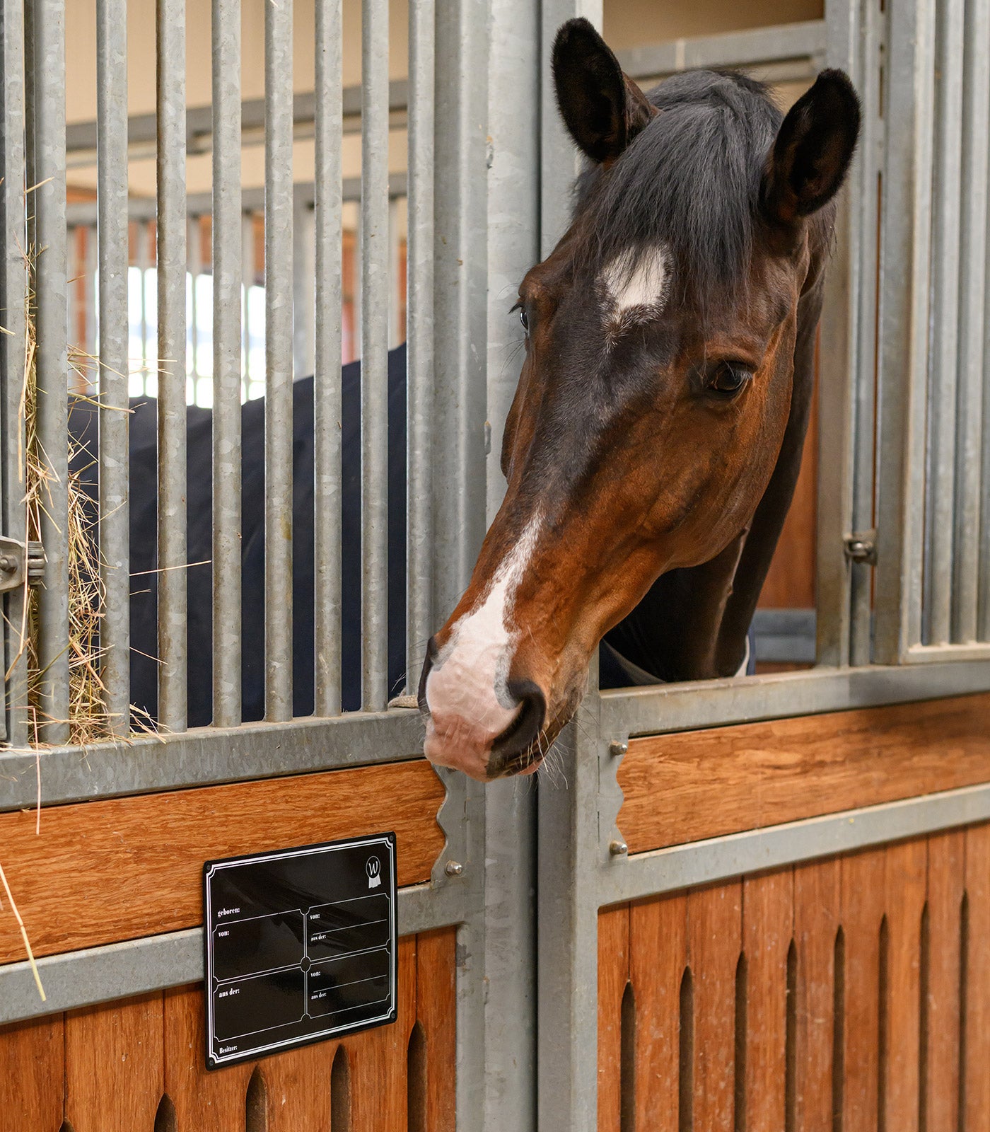 Waldhausen - Stable Door Information, black