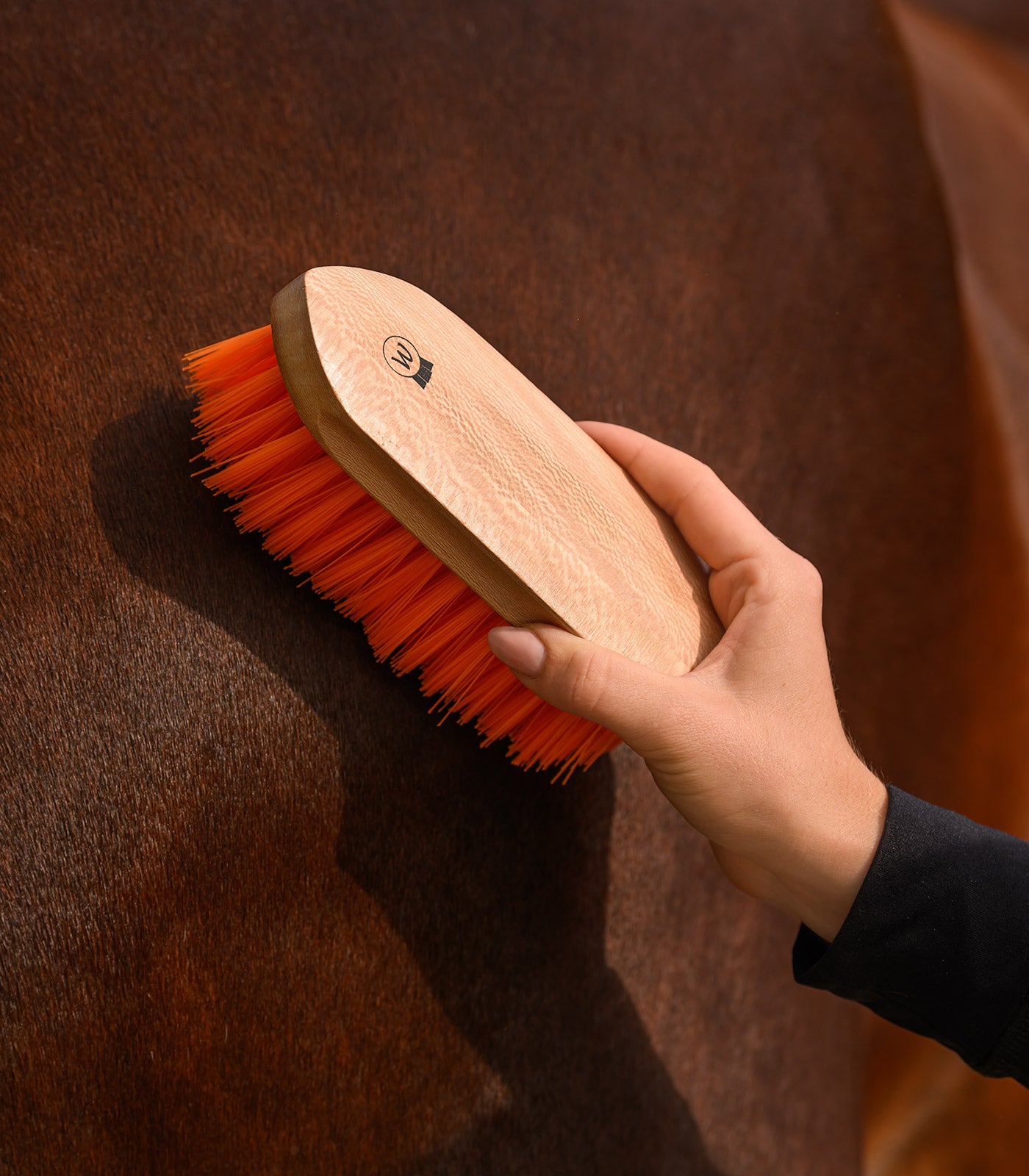 Waldhausen - Mane Brush
