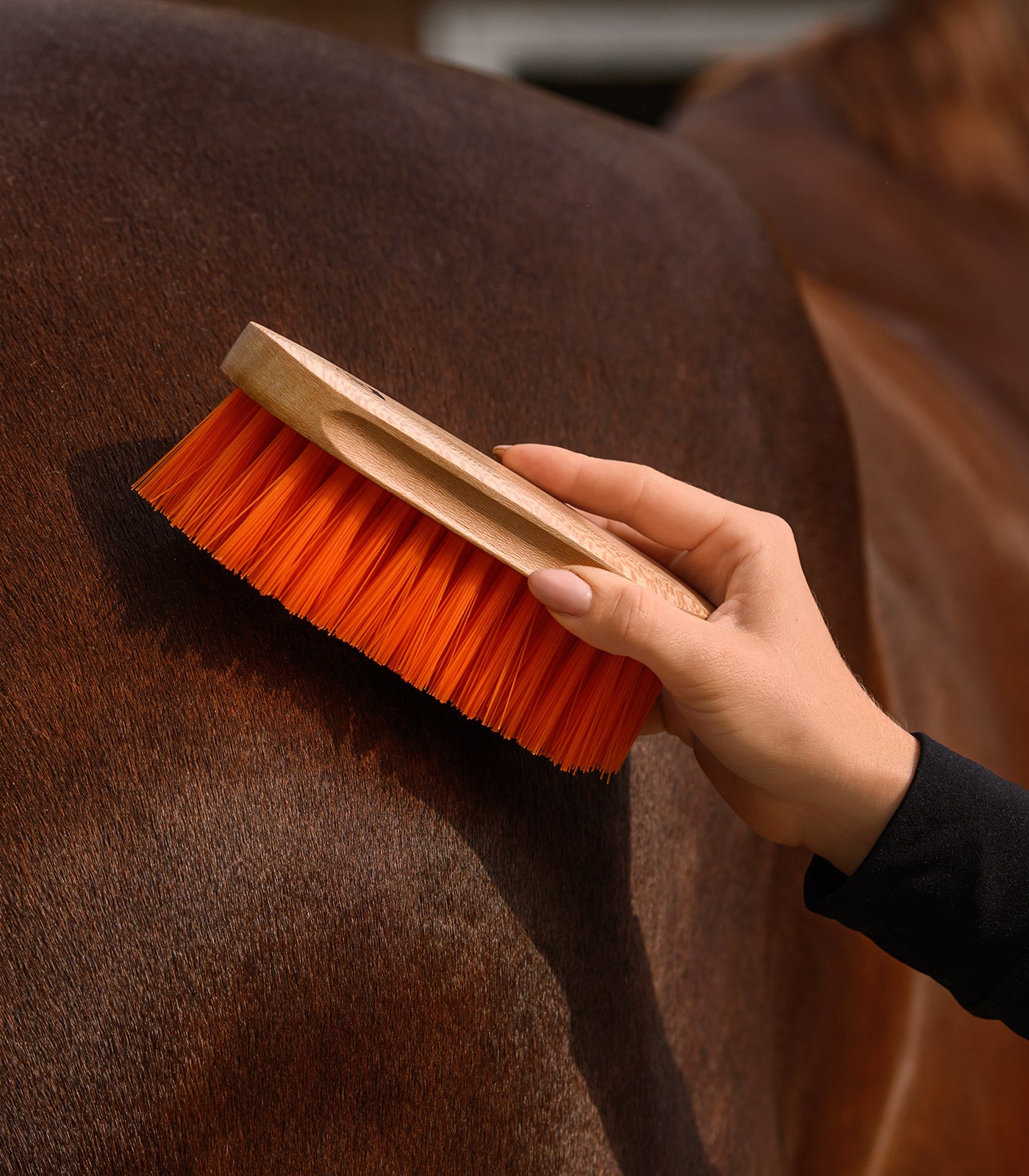 Waldhausen - Mane Brush