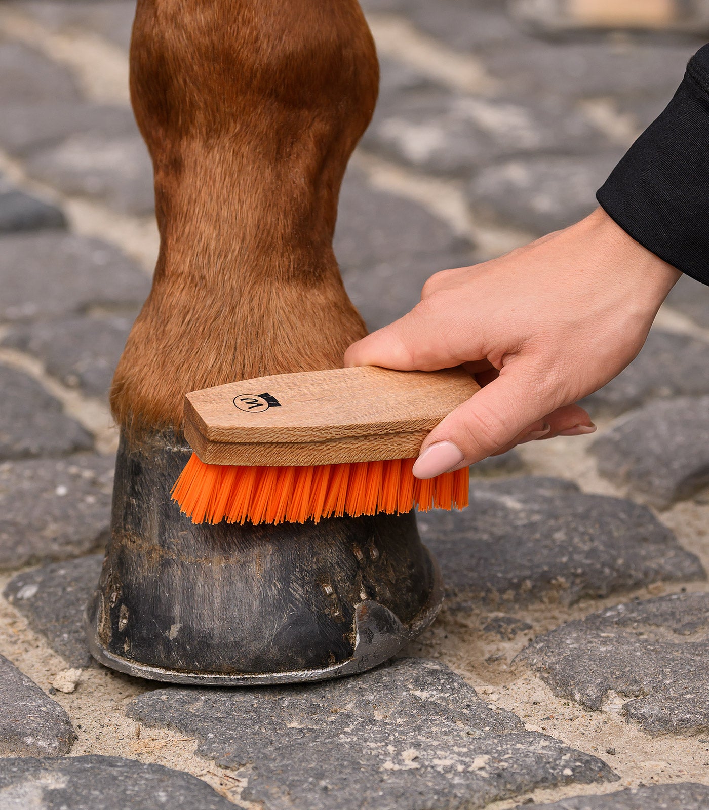 Waldhausen - Hoof Brush
