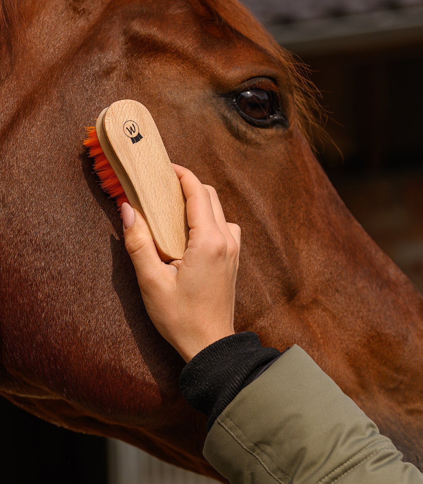 Waldhausen - Head Brush soft