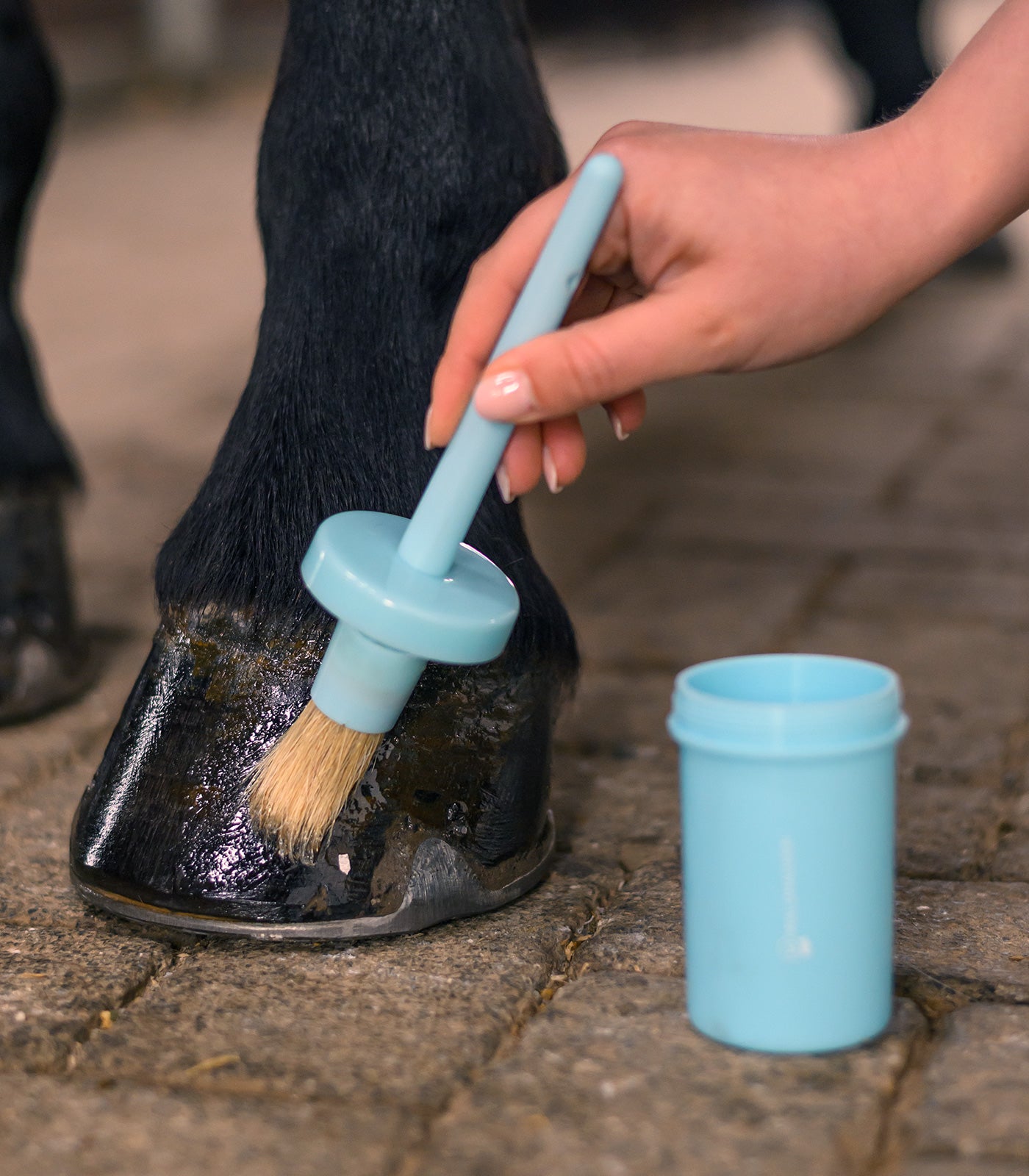 Waldhausen - Hoof brush safe