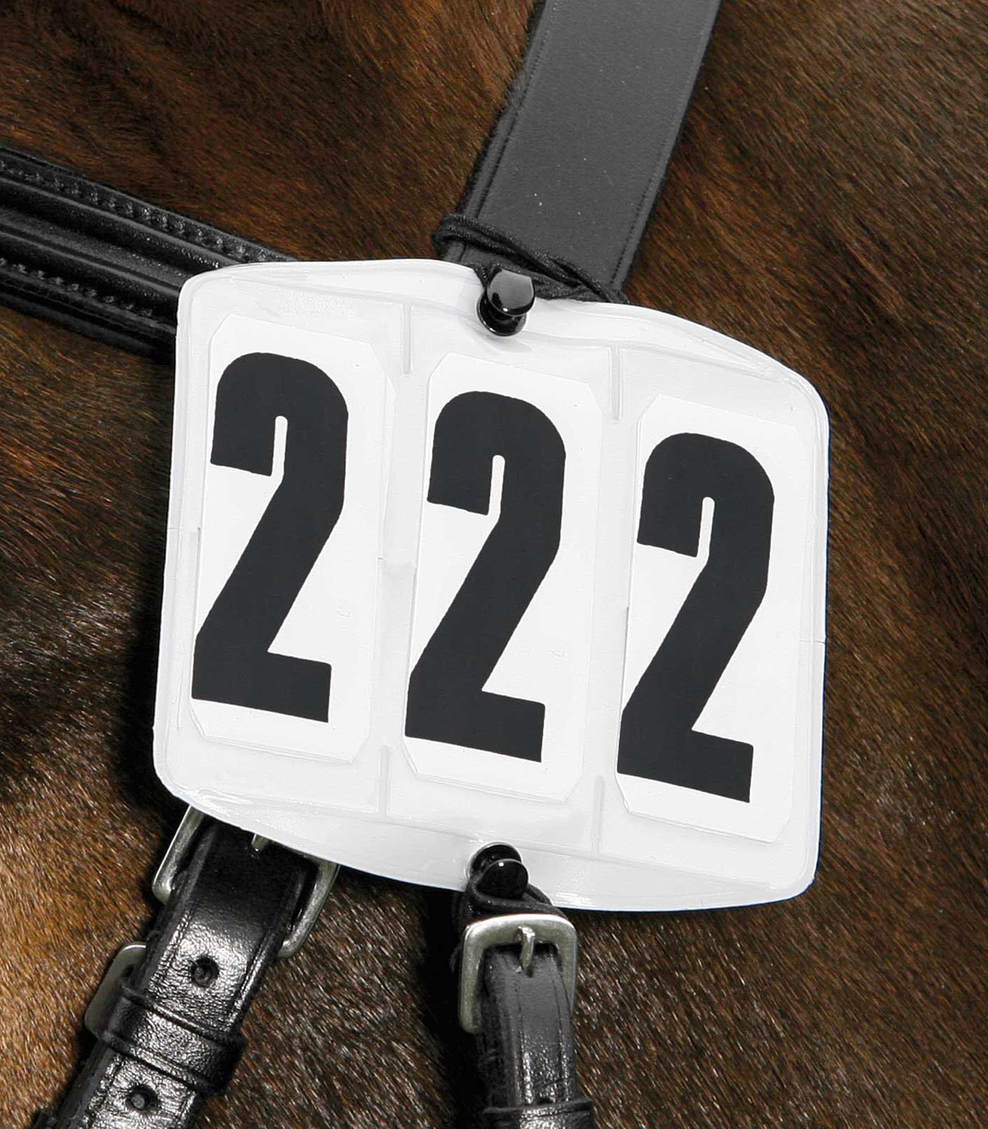Waldhausen - Head Numbers quadrate, white