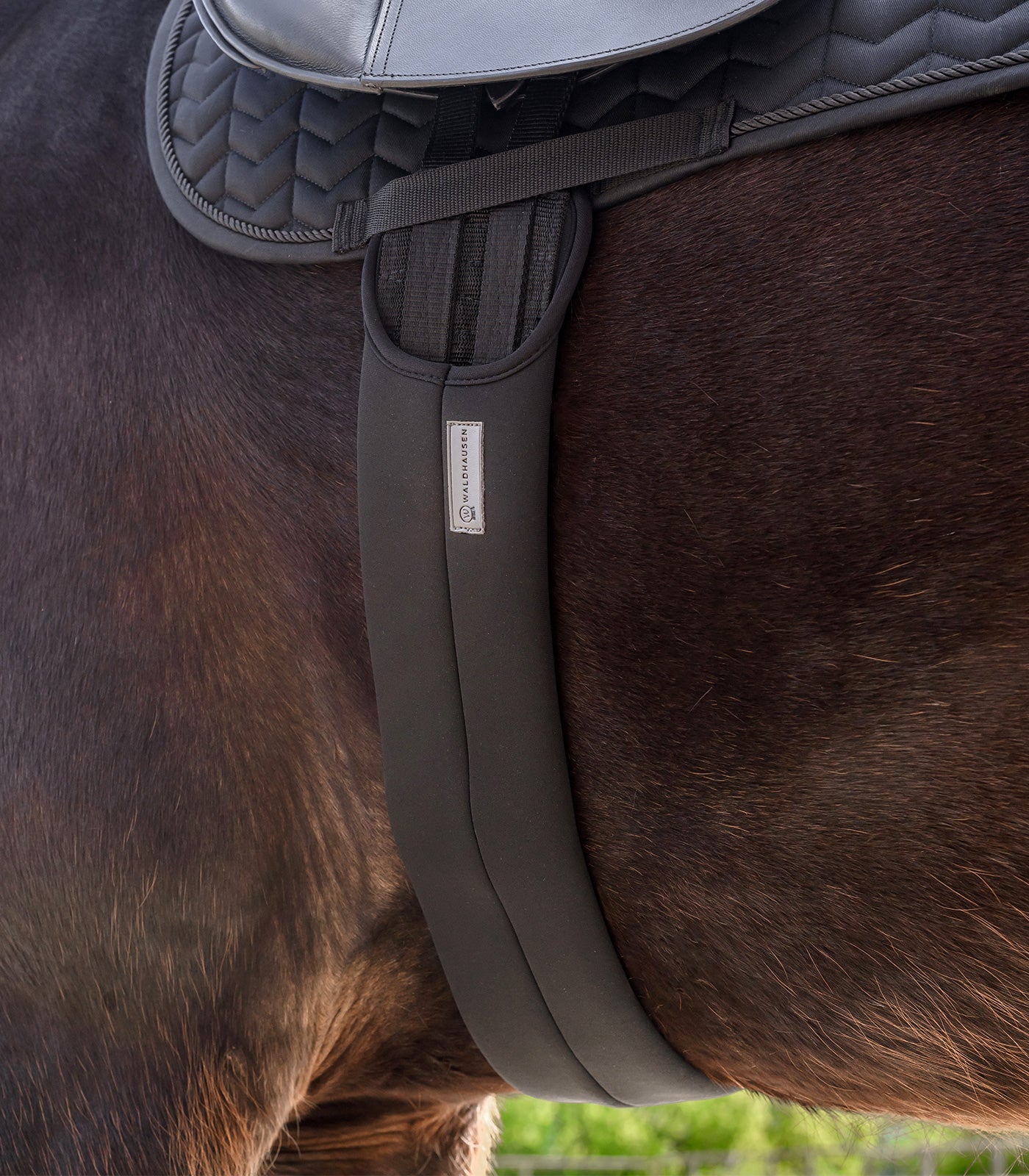 Waldhausen - Saddle Girth, black