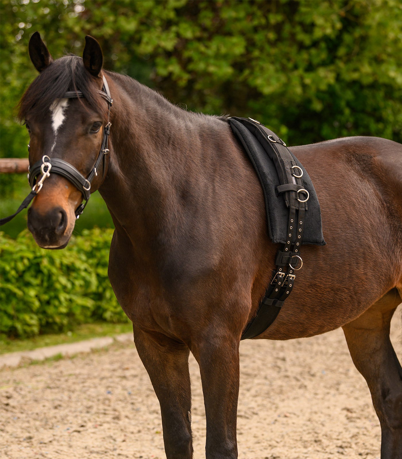 Waldhausen - Lunging Girth Supersoft, black