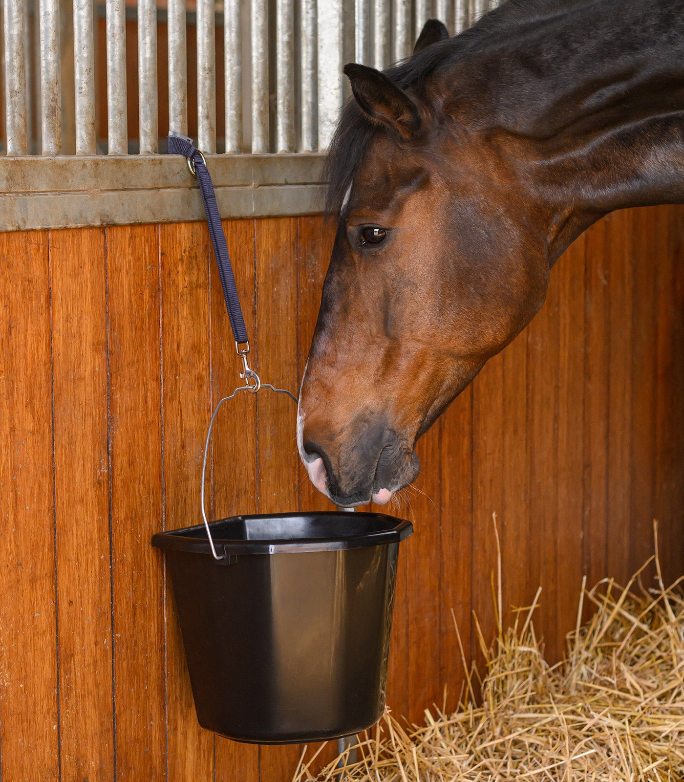 Waldhausen - Bucket holder, nightblue