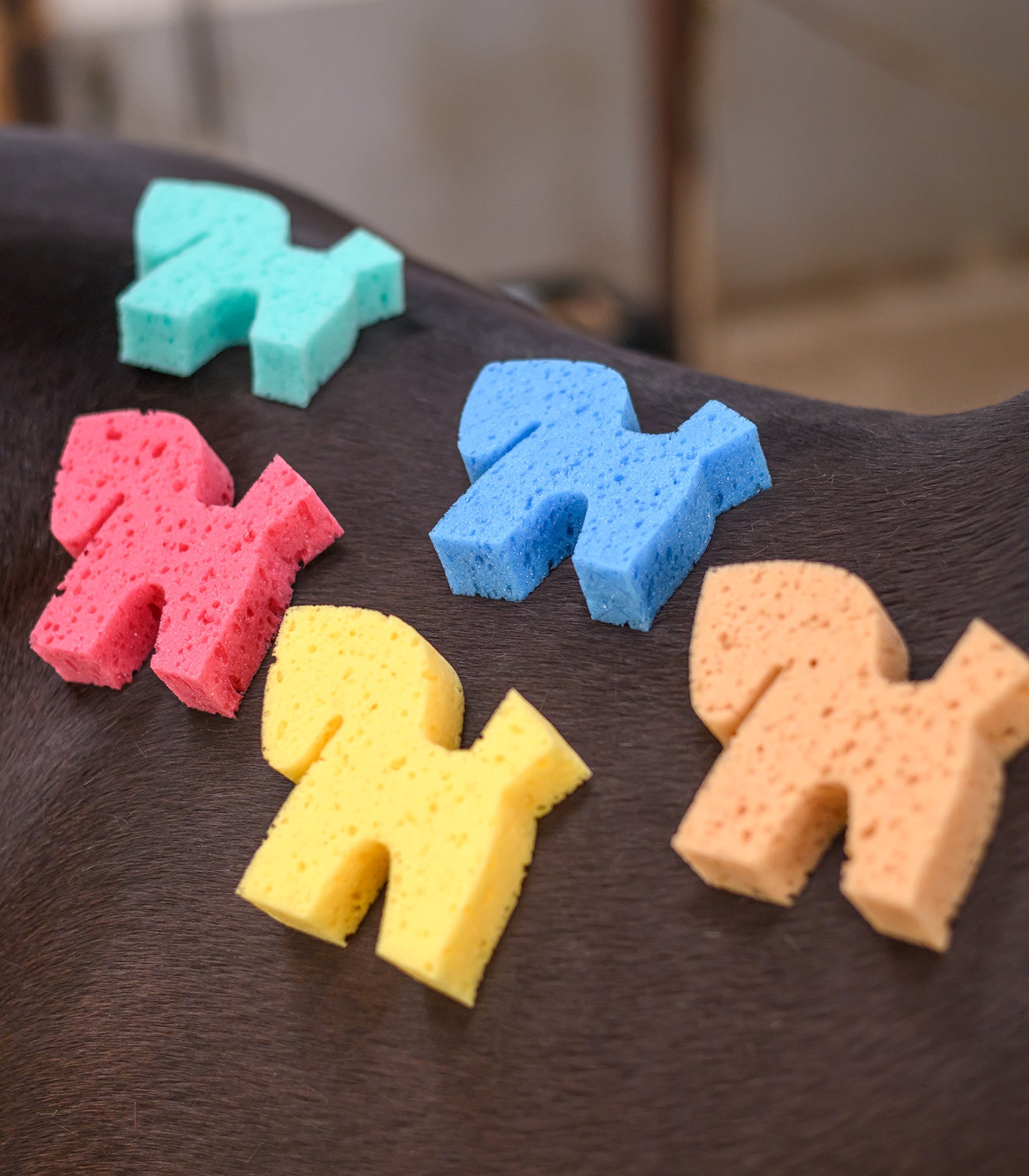 Waldhausen - Sponge Horse