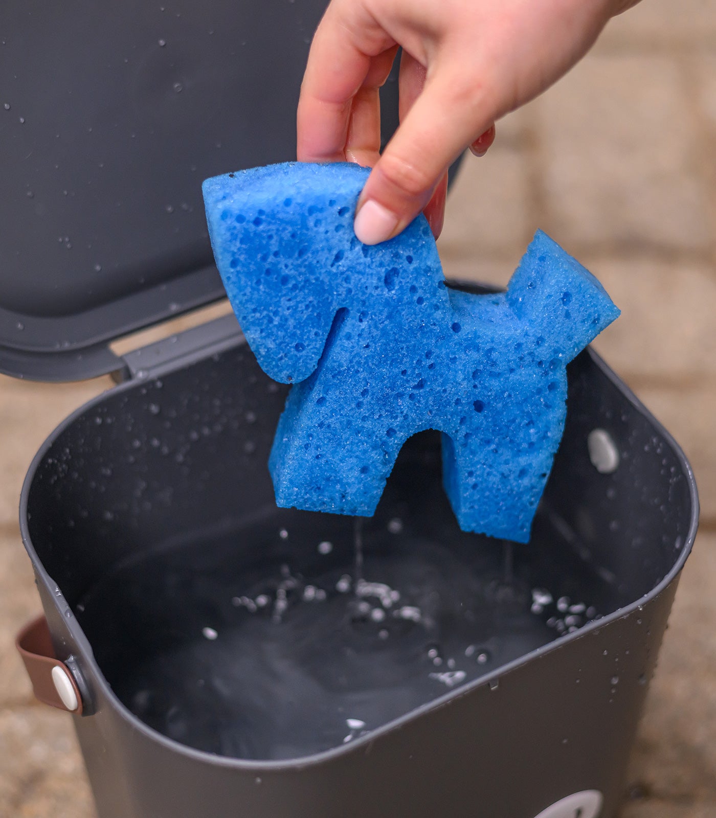 Waldhausen - Sponge Horse