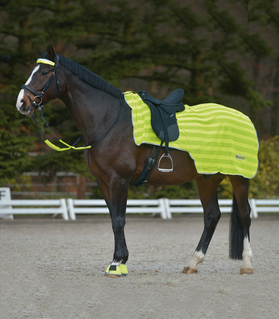 Waldhausen - Reflex rug with lightstripes, neon