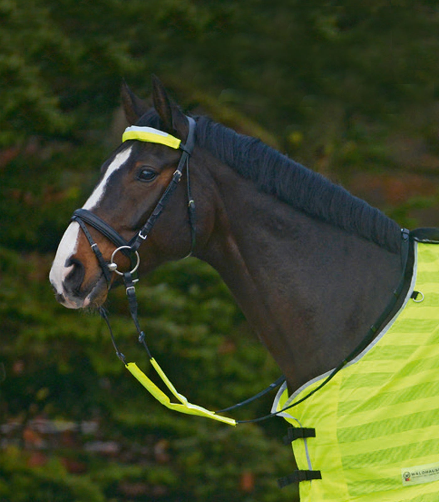 Waldhausen - Reflex Straps for bridle Set=3 pcs.