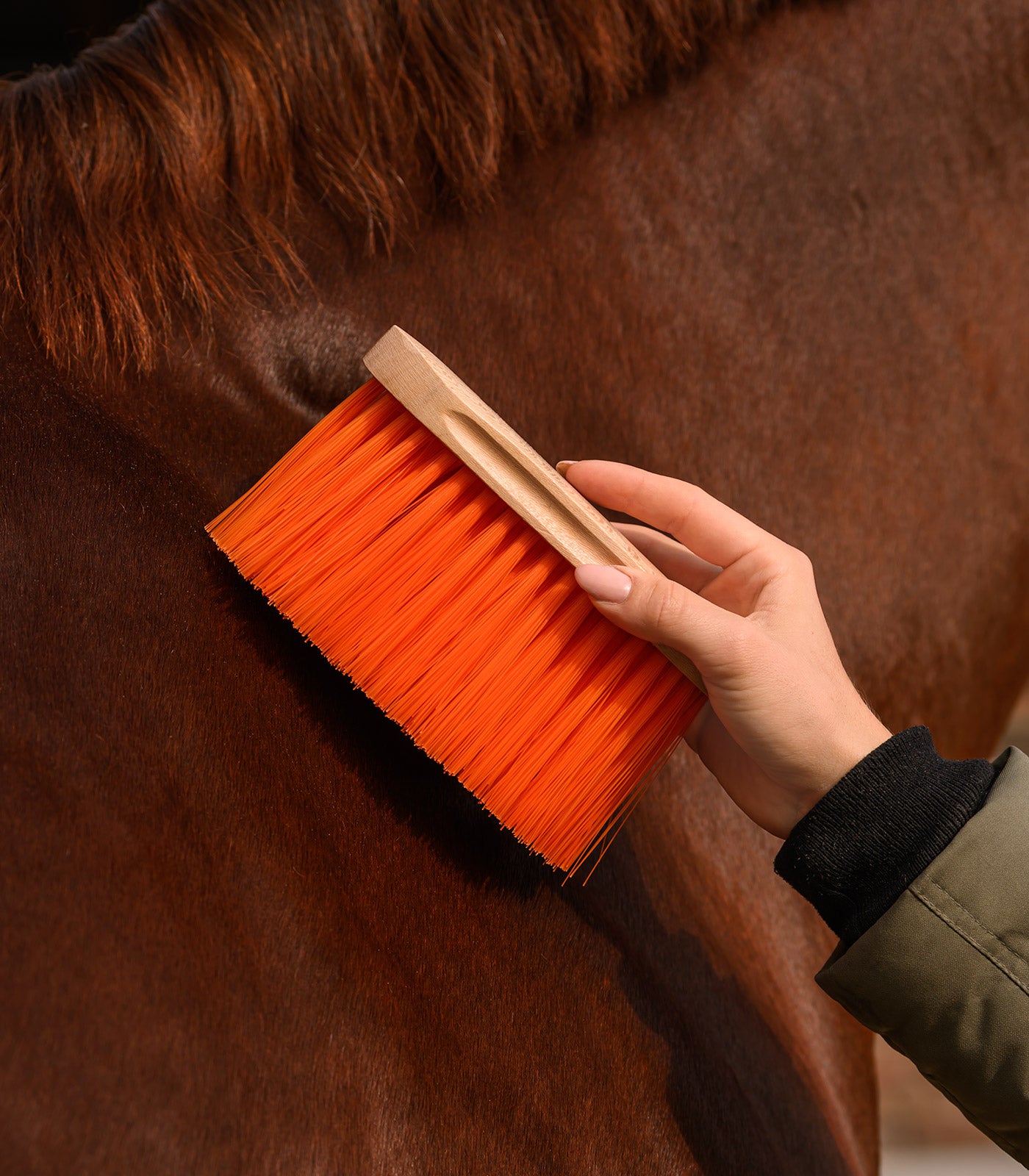 Waldhausen - Mane Brush soft