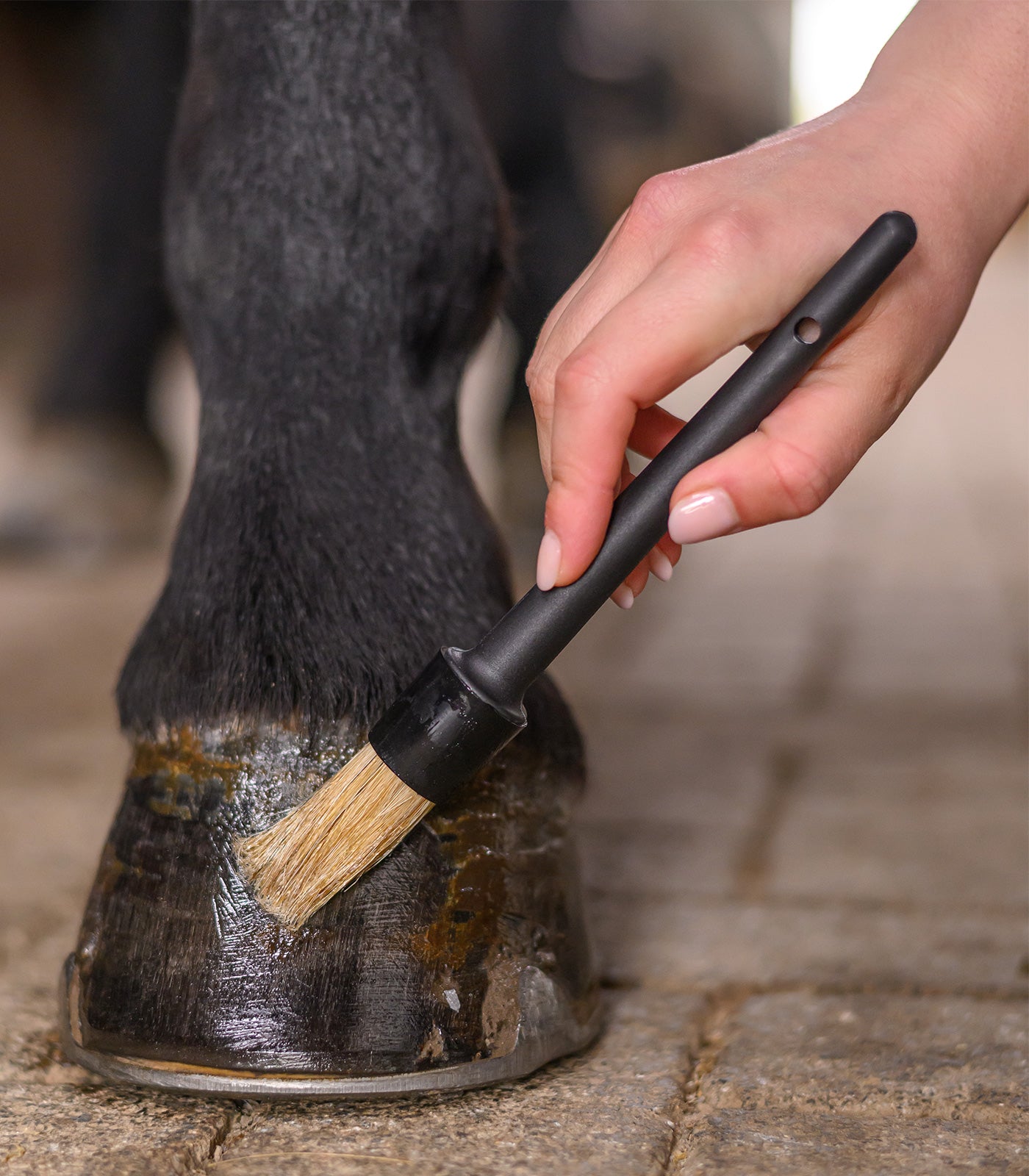 Waldhausen - Hoof Brush with cover