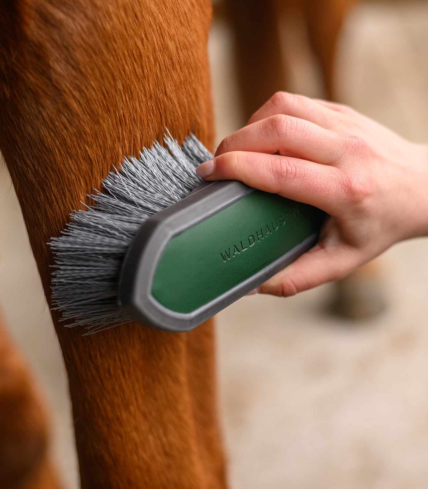 Waldhausen - Scrubbing brush