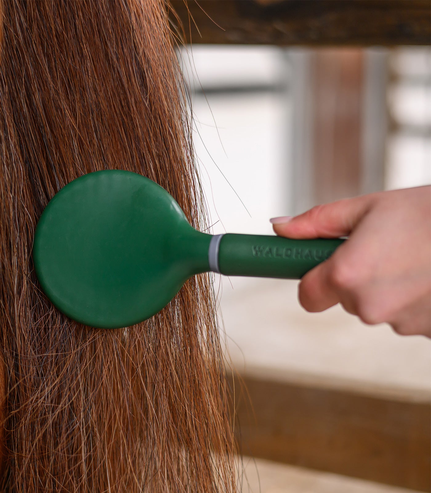 Waldhausen - Mane brush