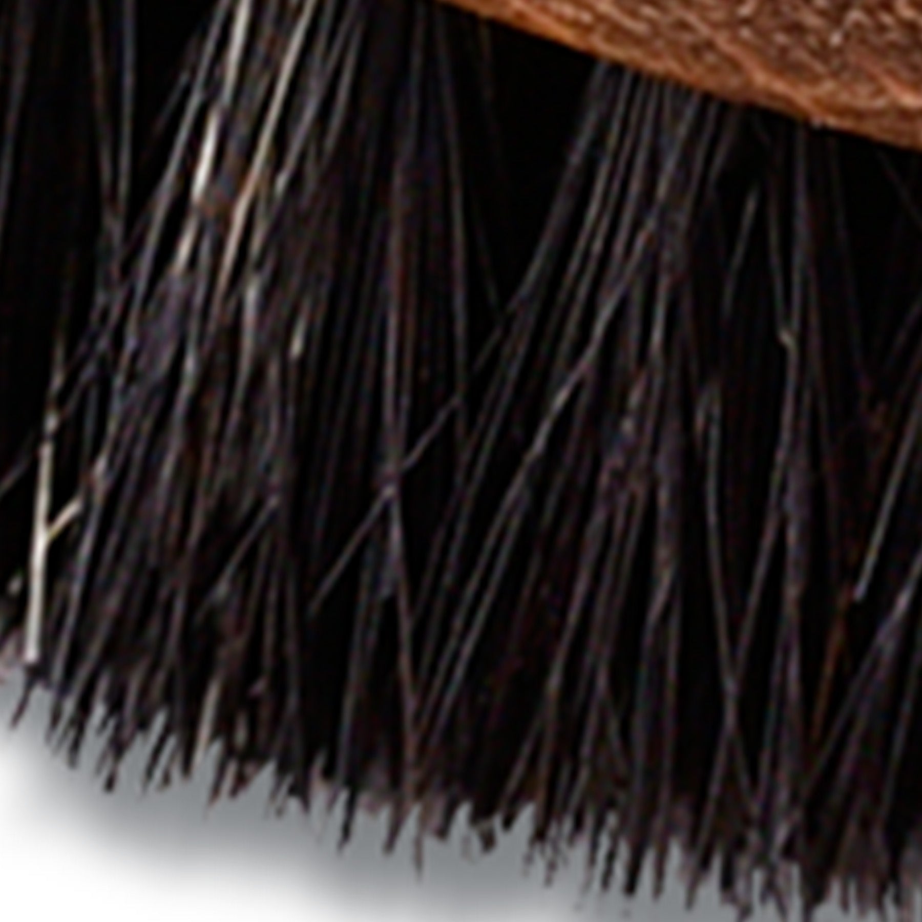 Waldhausen - Shoe Cream Brush exclusive, 15 cm