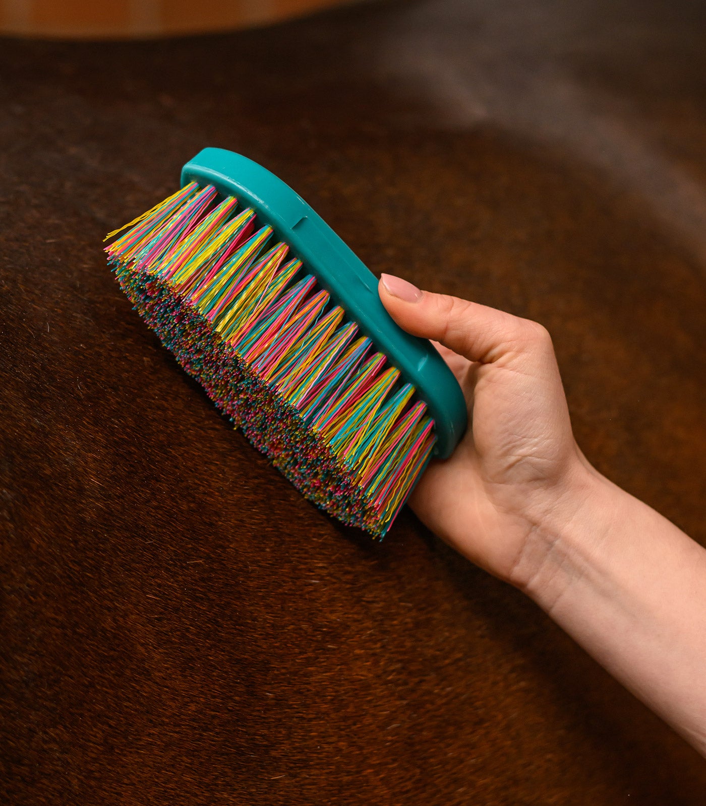 Waldhausen - Rainbow stiff brush