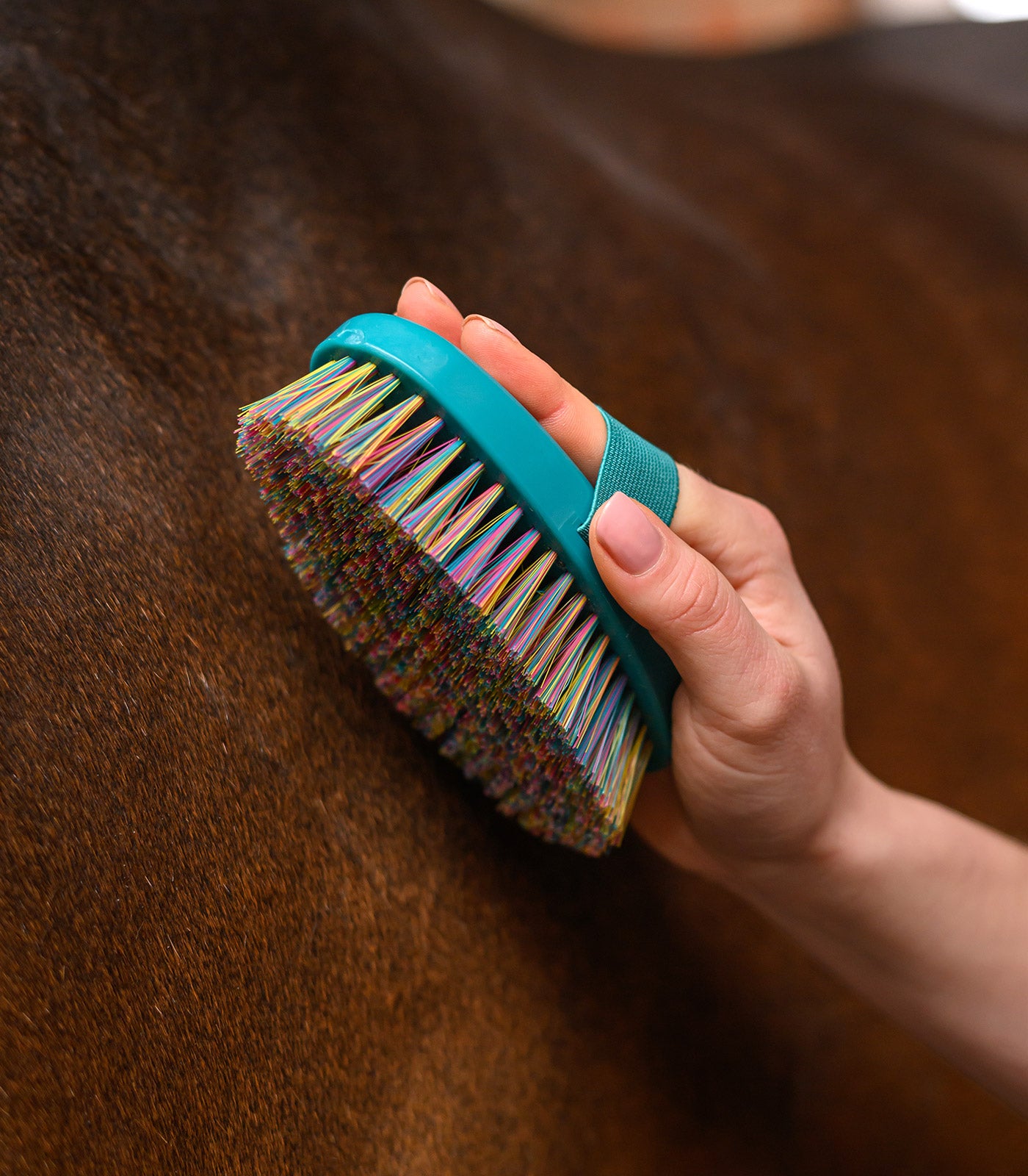 Waldhausen - Rainbow grooming brush