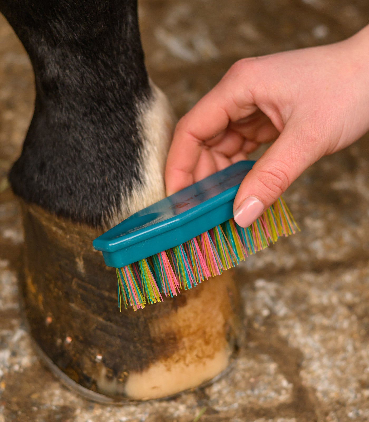 Waldhausen - Hoof Brush Rainbow