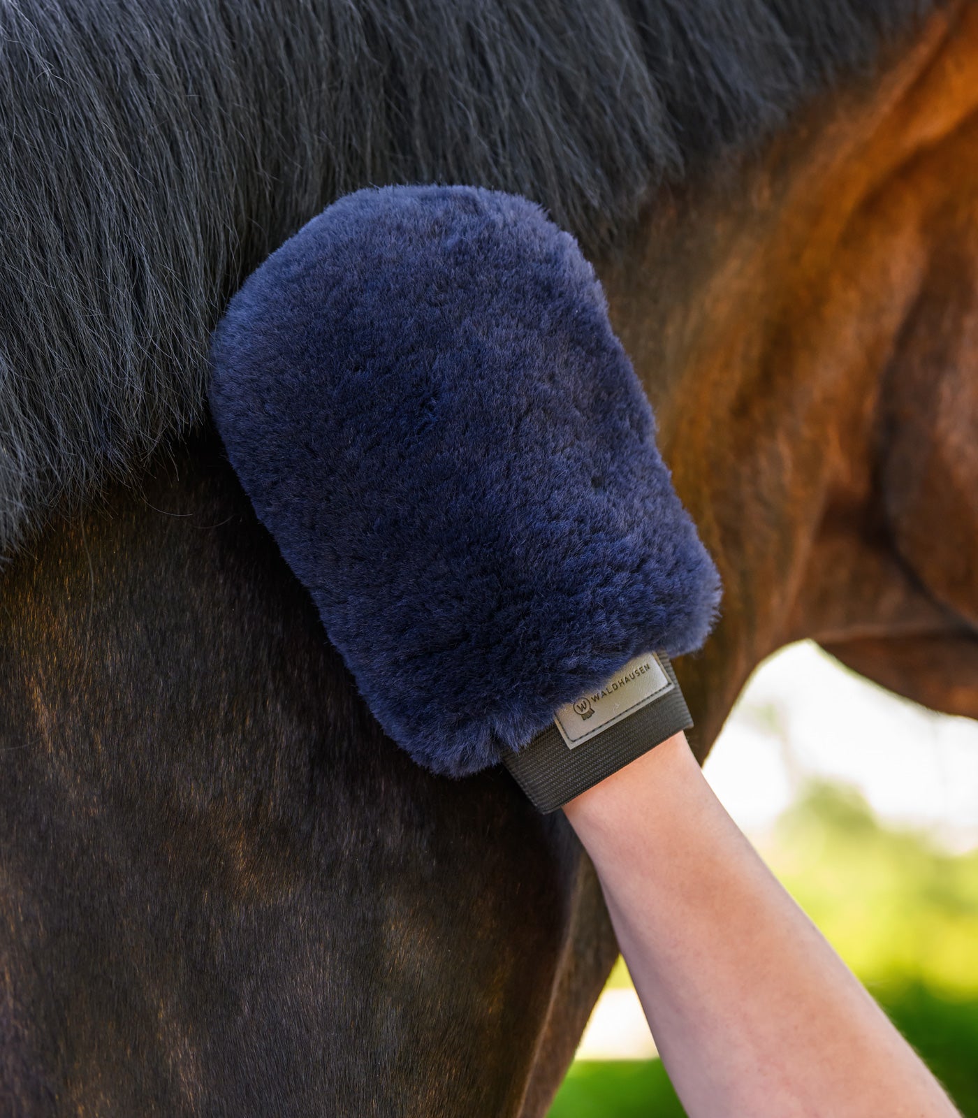 Waldhausen - Lambskin-Grooming Glove Lucky