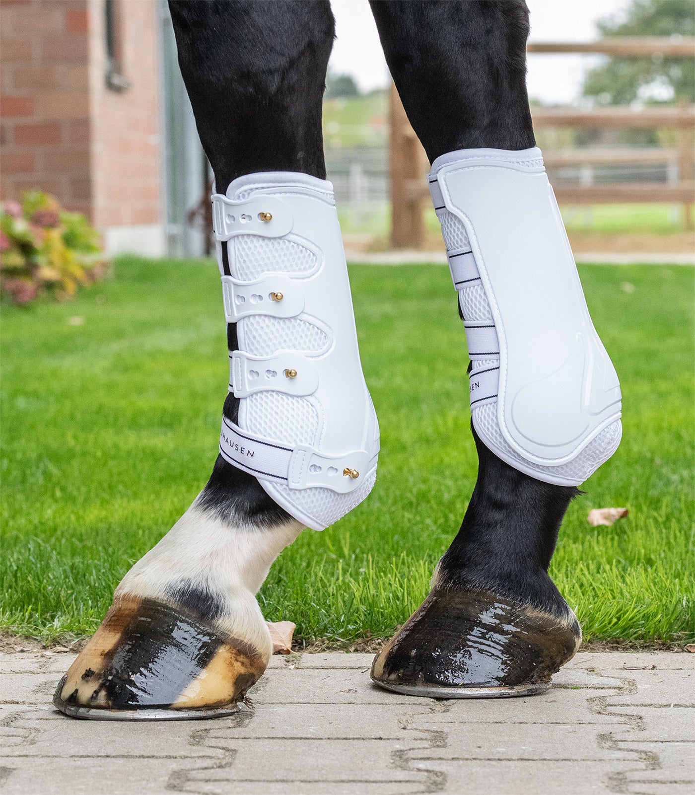 Waldhausen - tendon Boots breath