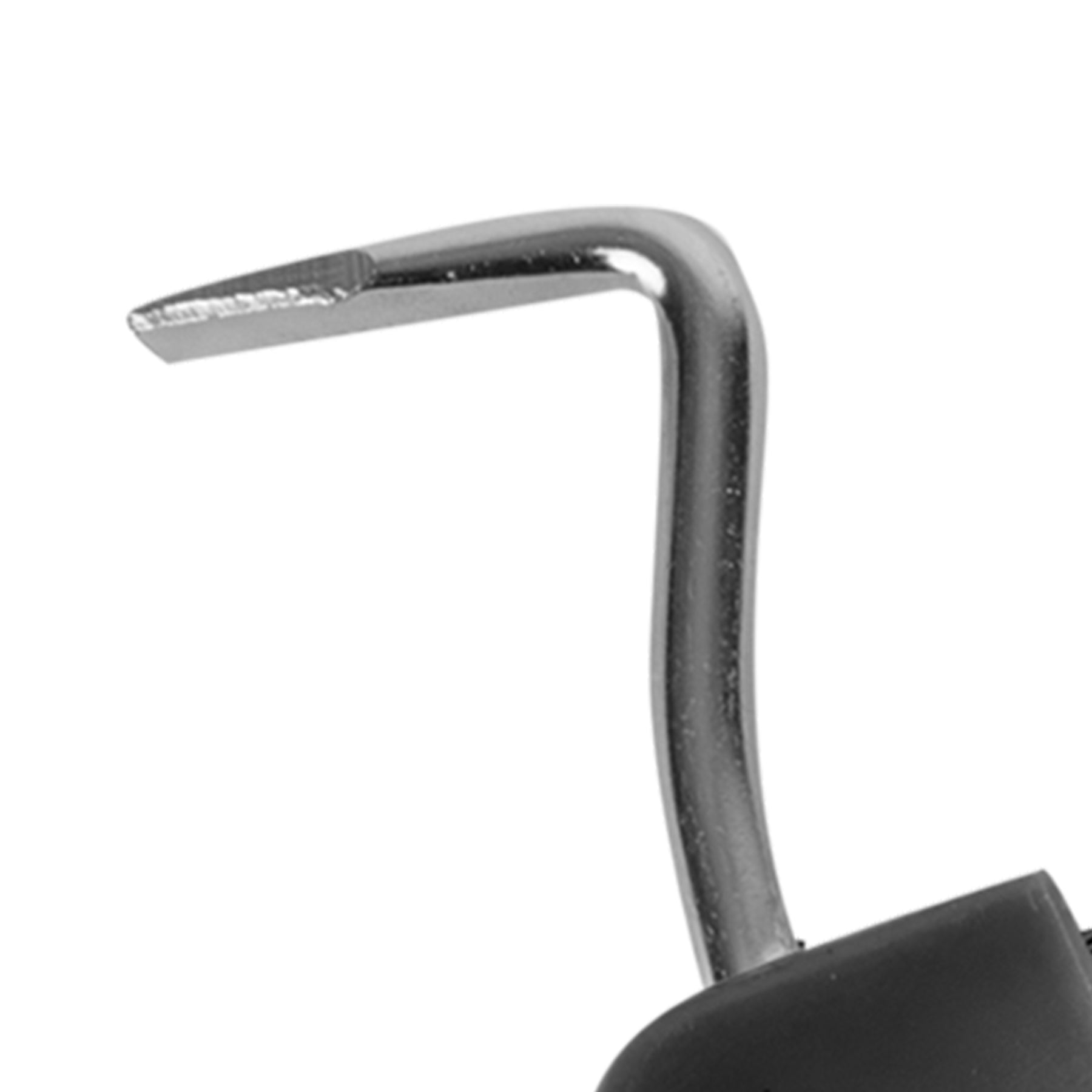 Waldhausen - Hoof pick with magnet