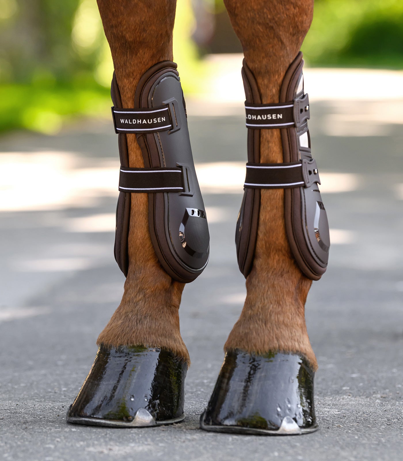 Waldhausen - tendon Boots Memory Foam Pro