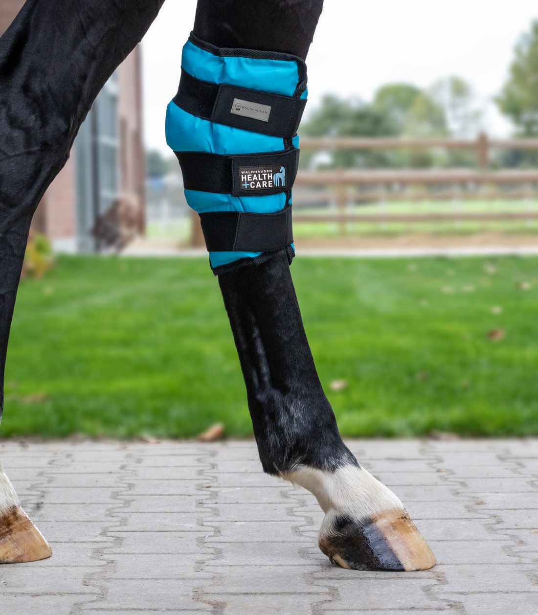 Waldhausen Health + Care - Waldhausen Health + Care Ankle Ice Boot Gel, Full