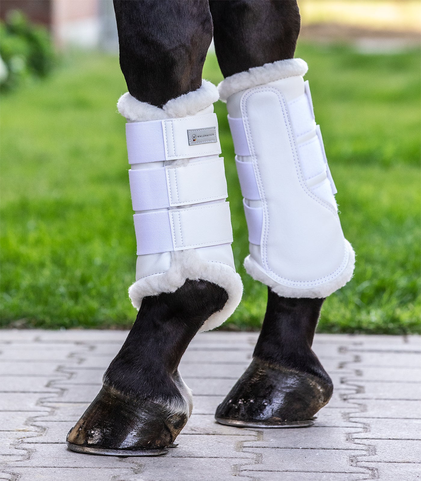 Waldhausen - Dressage Boots Soft