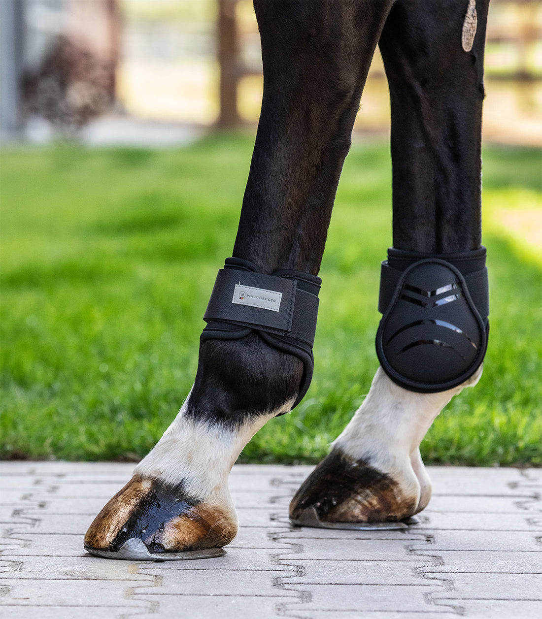 Waldhausen - Fetlock Boots Basic Plus, black