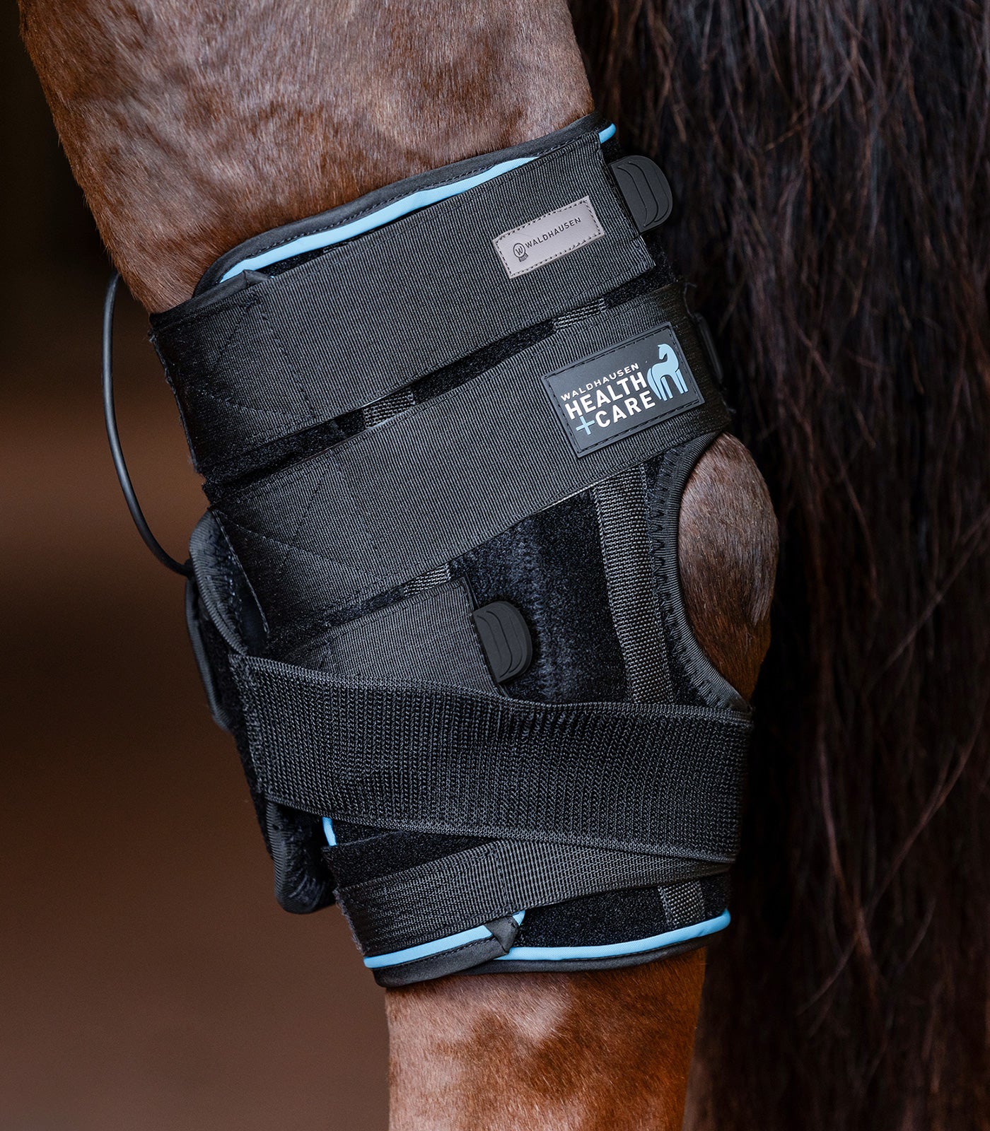 Waldhausen Health + Care - W-Health + Care Boot for hock, WEEE-No.: DE 63080891