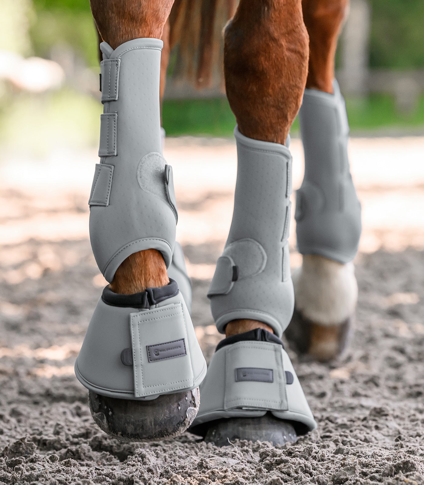 Waldhausen - Bell boots Performance