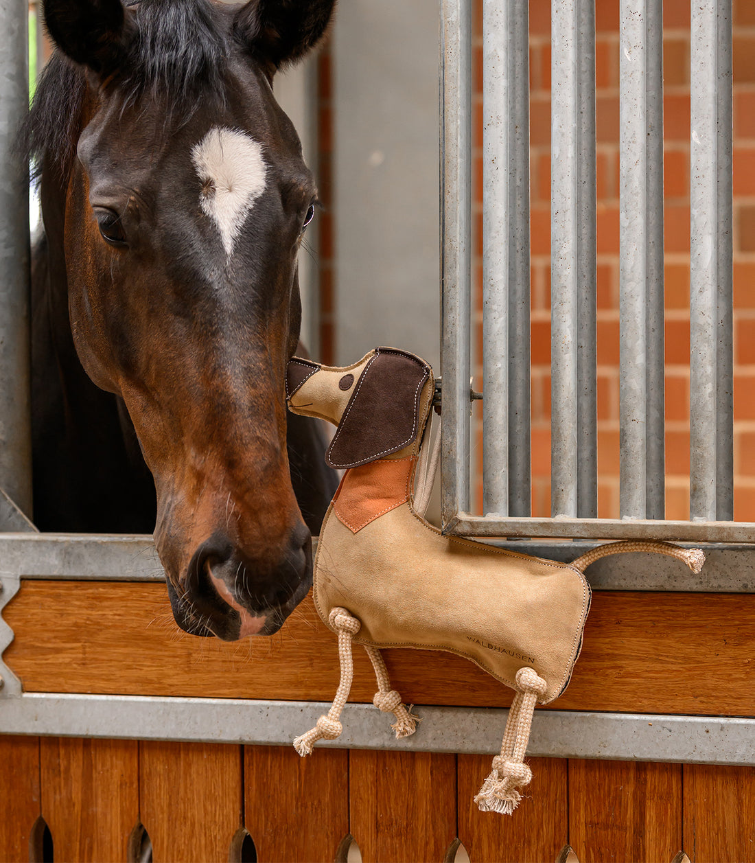 Waldhausen - Horse Toy Dachshund Dieter