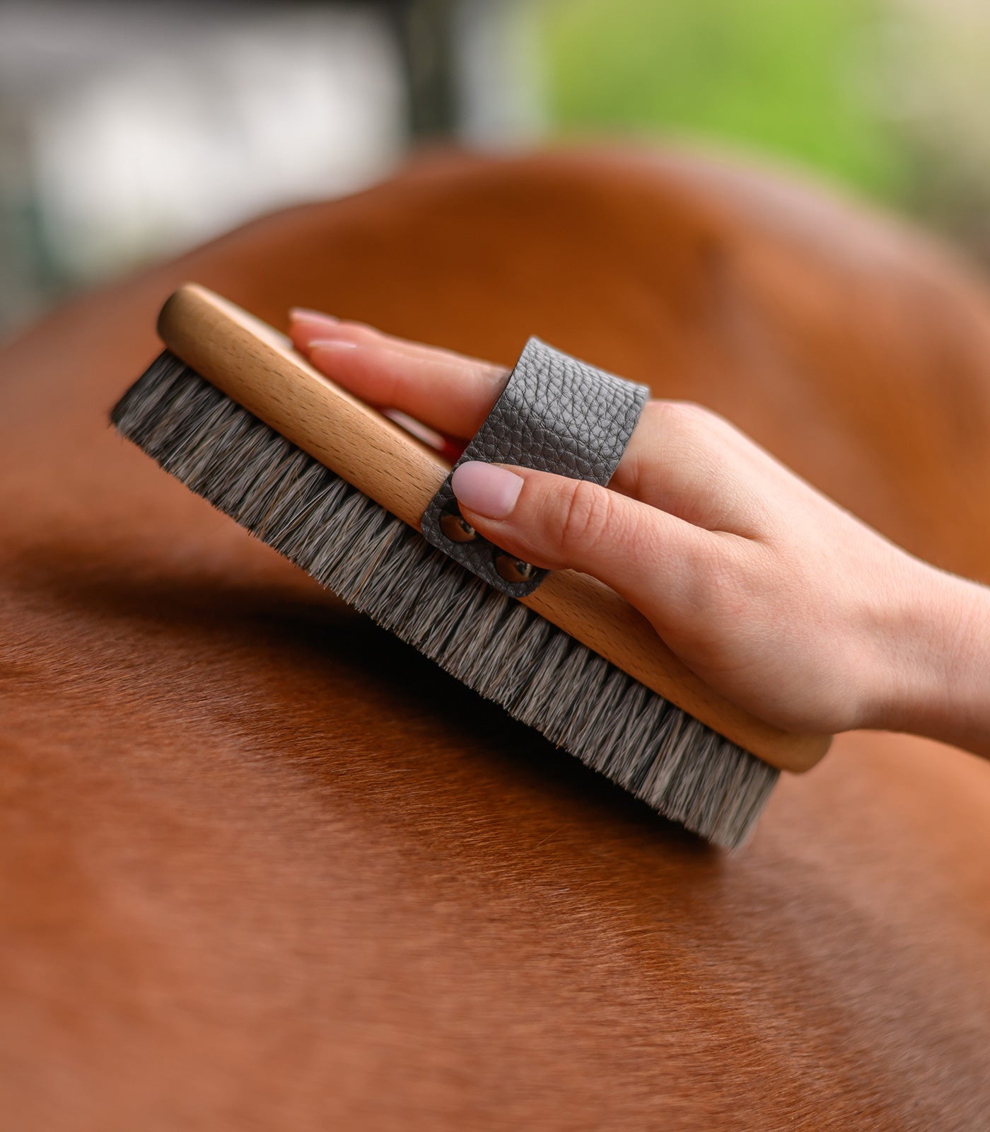 Waldhausen - Exclusive Line Body Brush