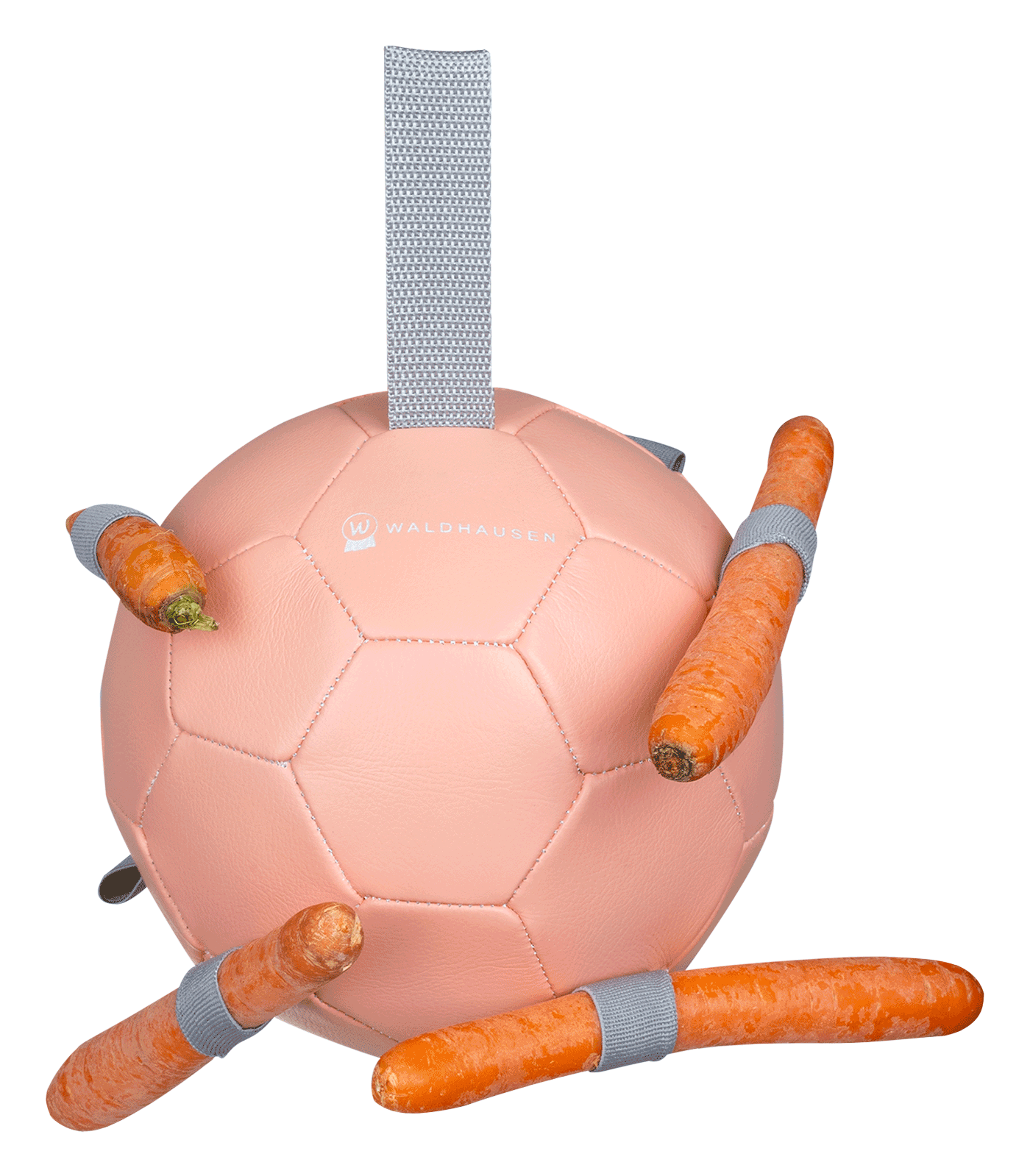 Waldhausen - Carrotball