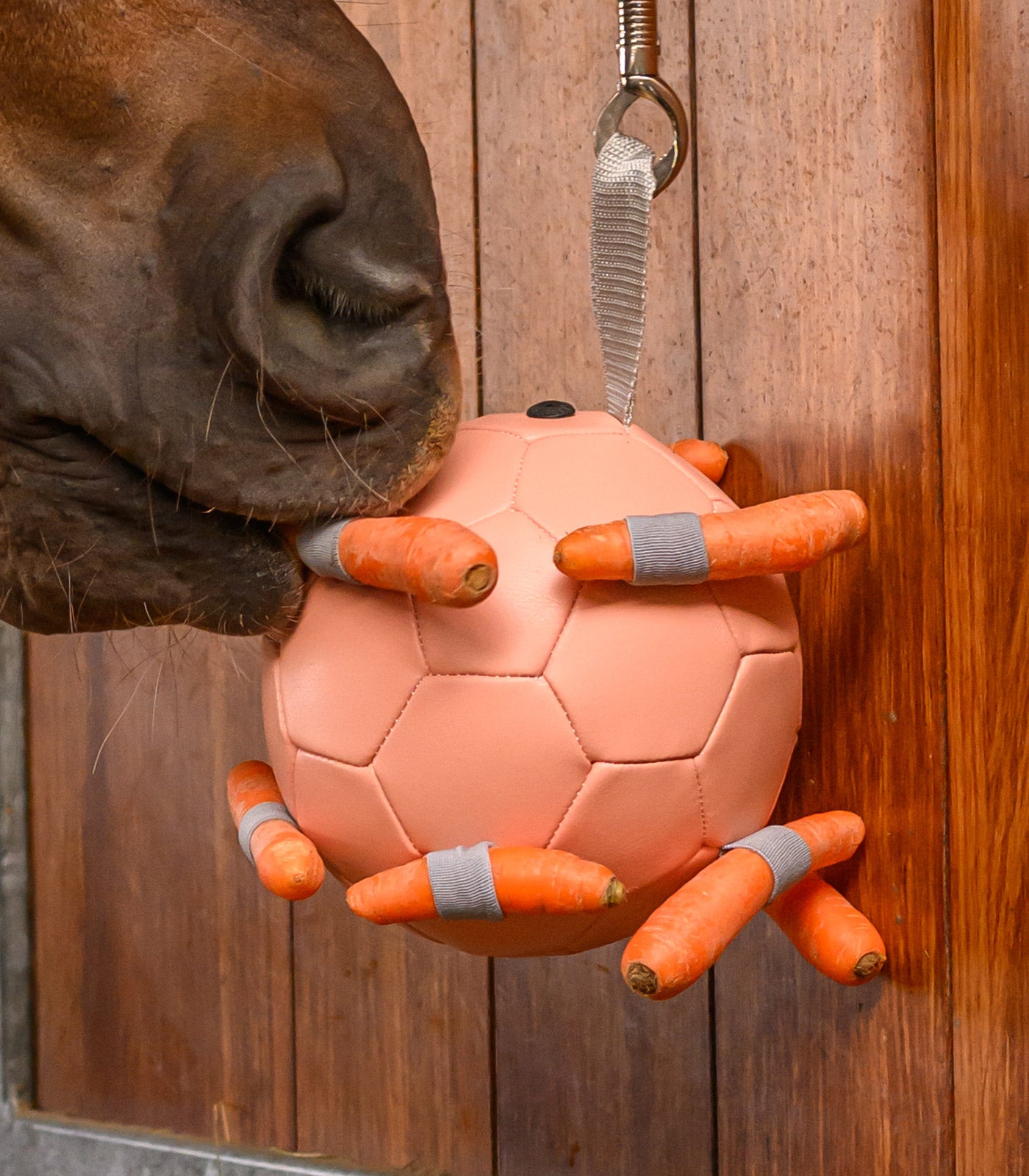 Waldhausen - Carrotball