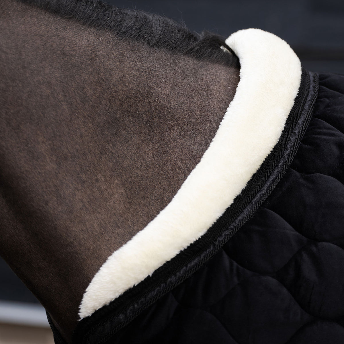 Imperial ridning, Show tæppe, Bandit- Sort