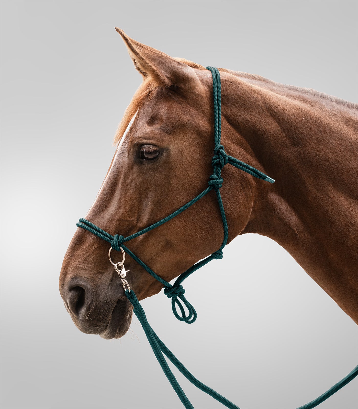 Waldhausen - Knot Halter with rein