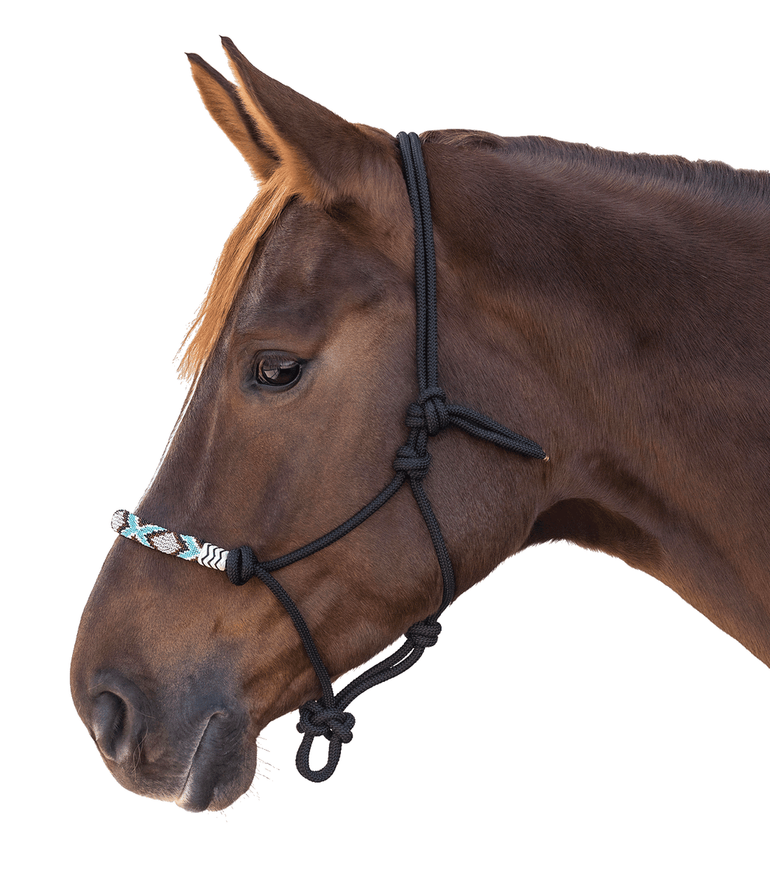 Waldhausen - Knot Halter Pearls