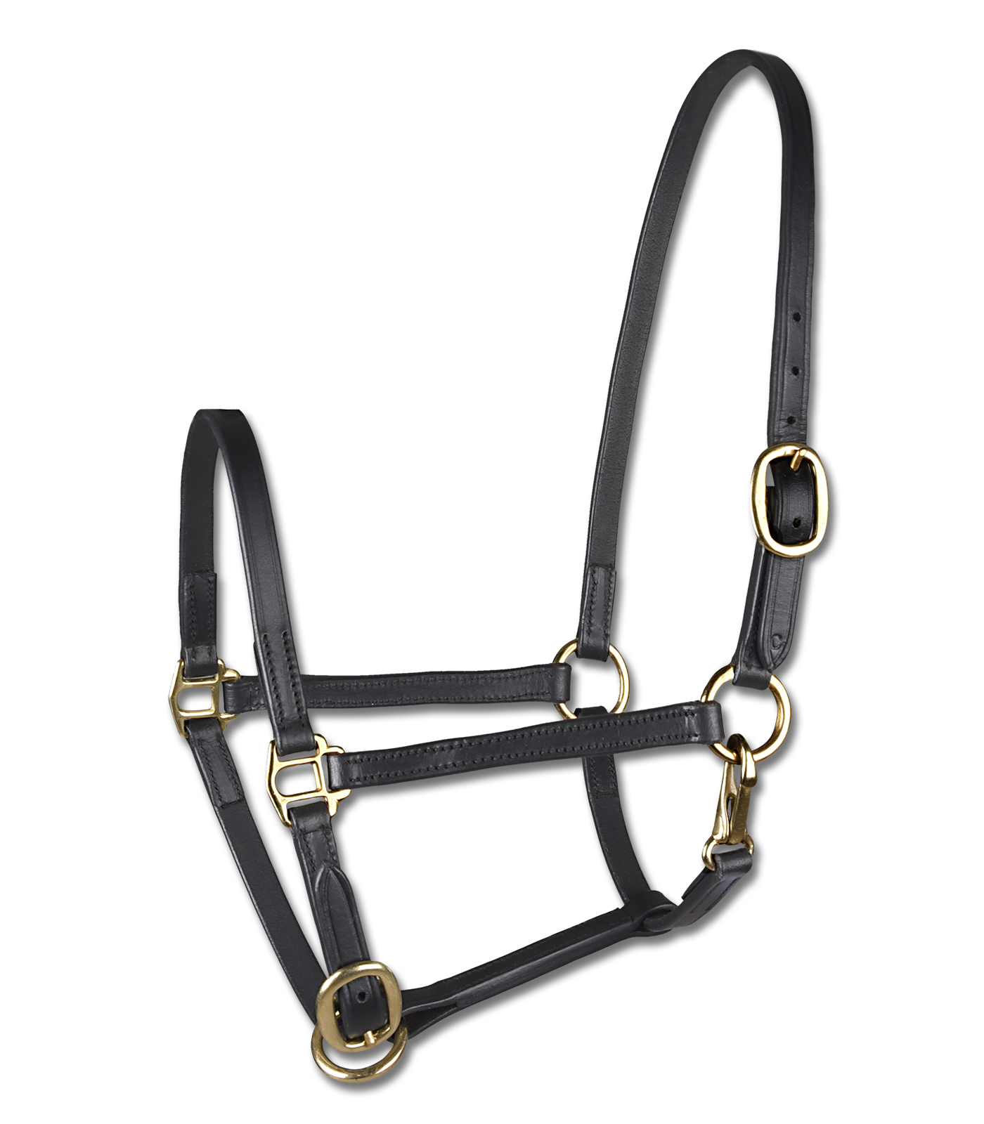 STAR - STAR Foalhalter leather