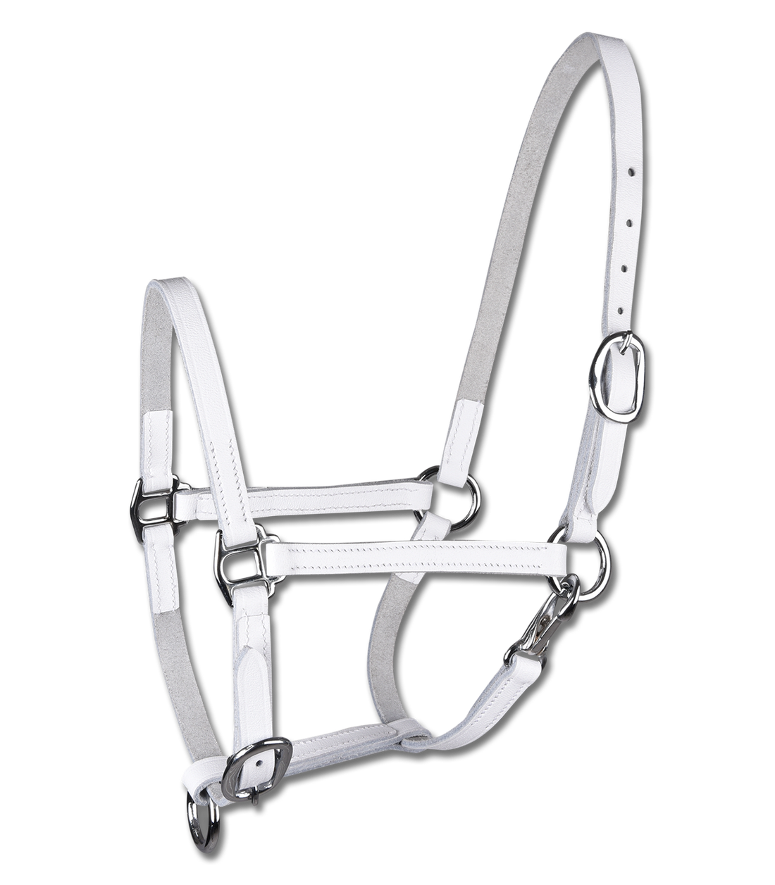 STAR - STAR Foalhalter leather