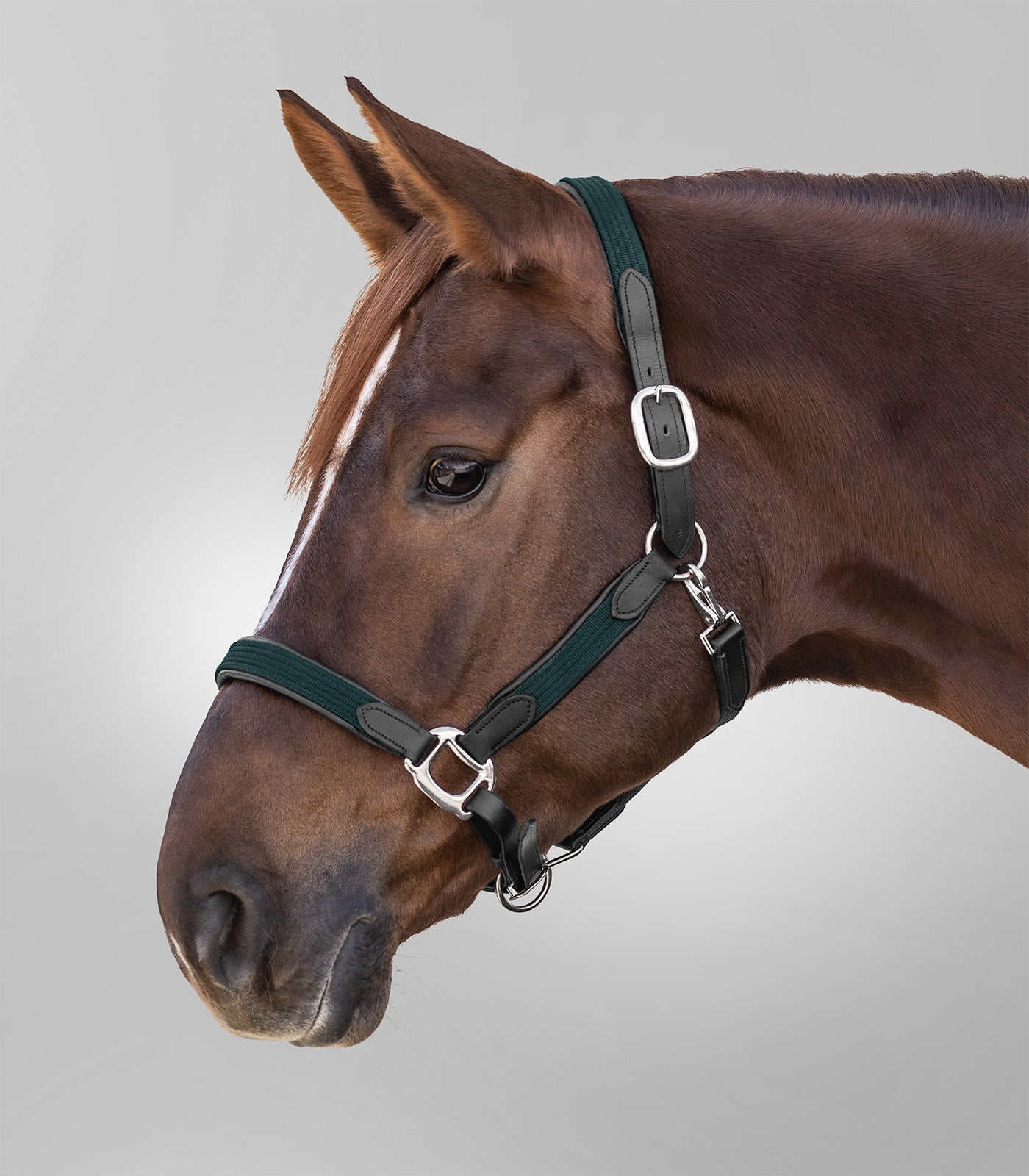 STAR - STAR halter MIX