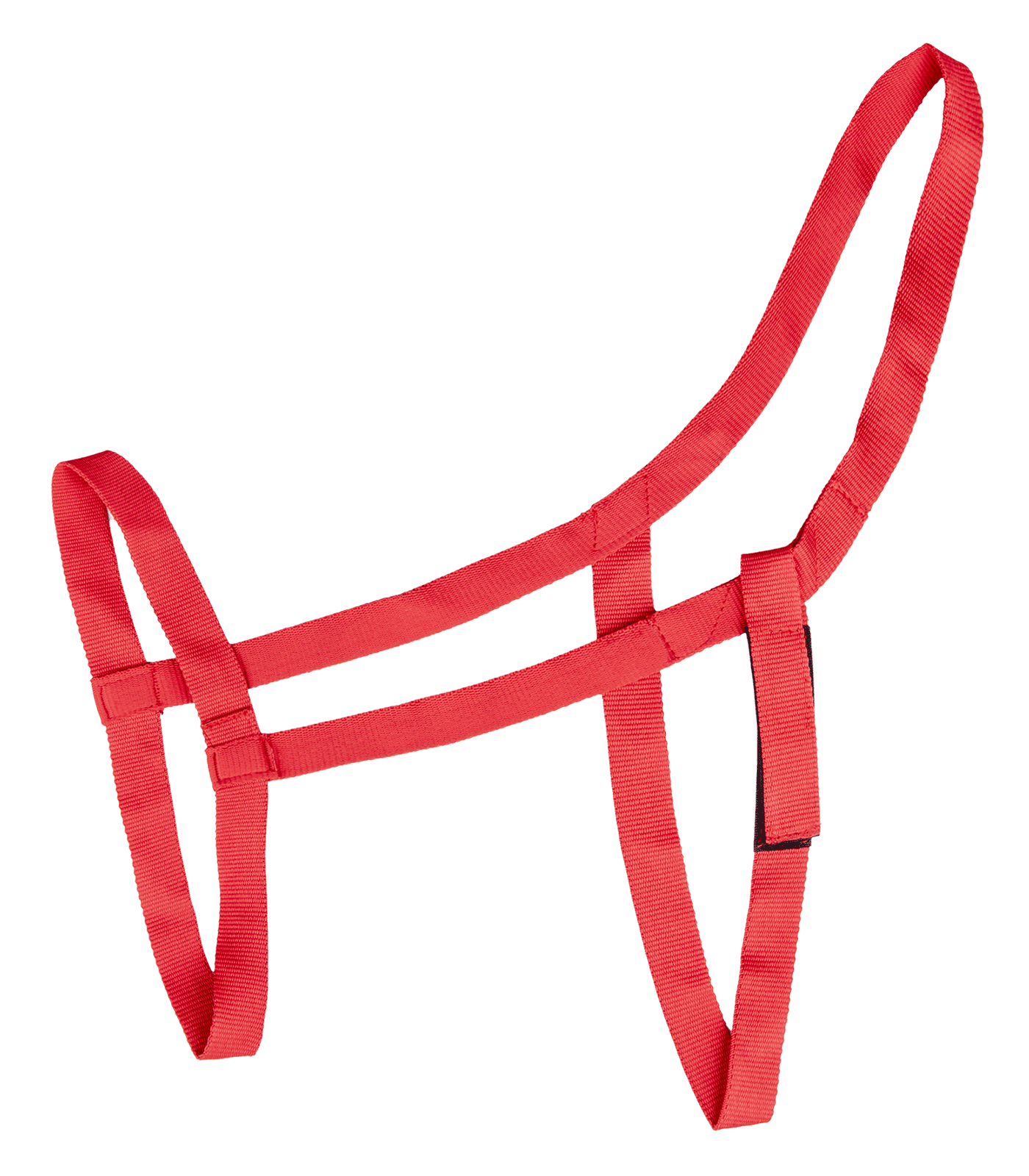 Waldhausen - Grazing halter