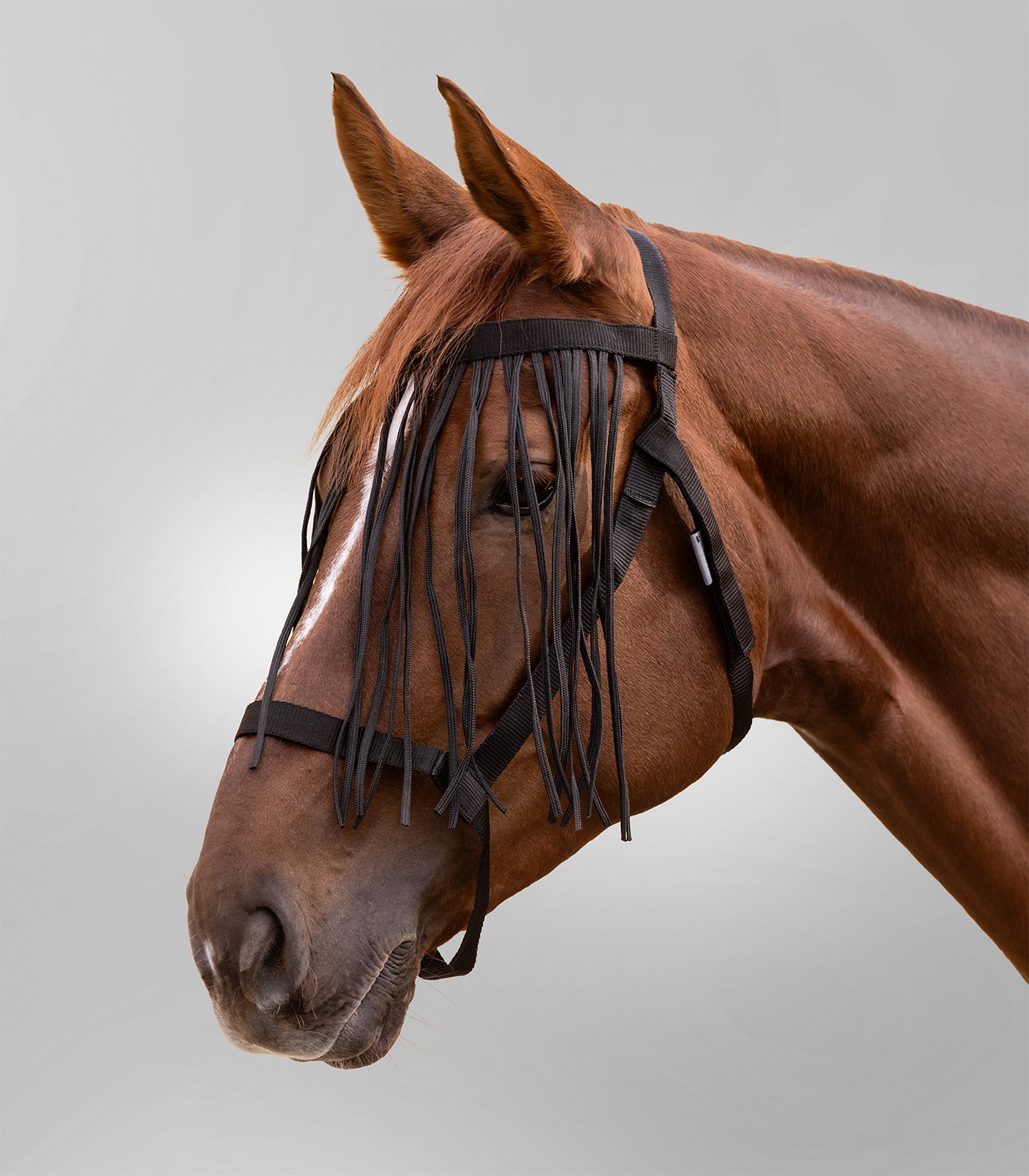 Waldhausen - Grazing halter with Fly Fringe