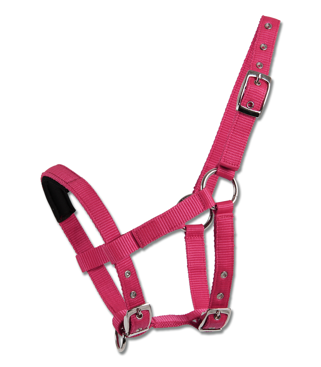 Waldhausen - Mini-Shetty halter padded